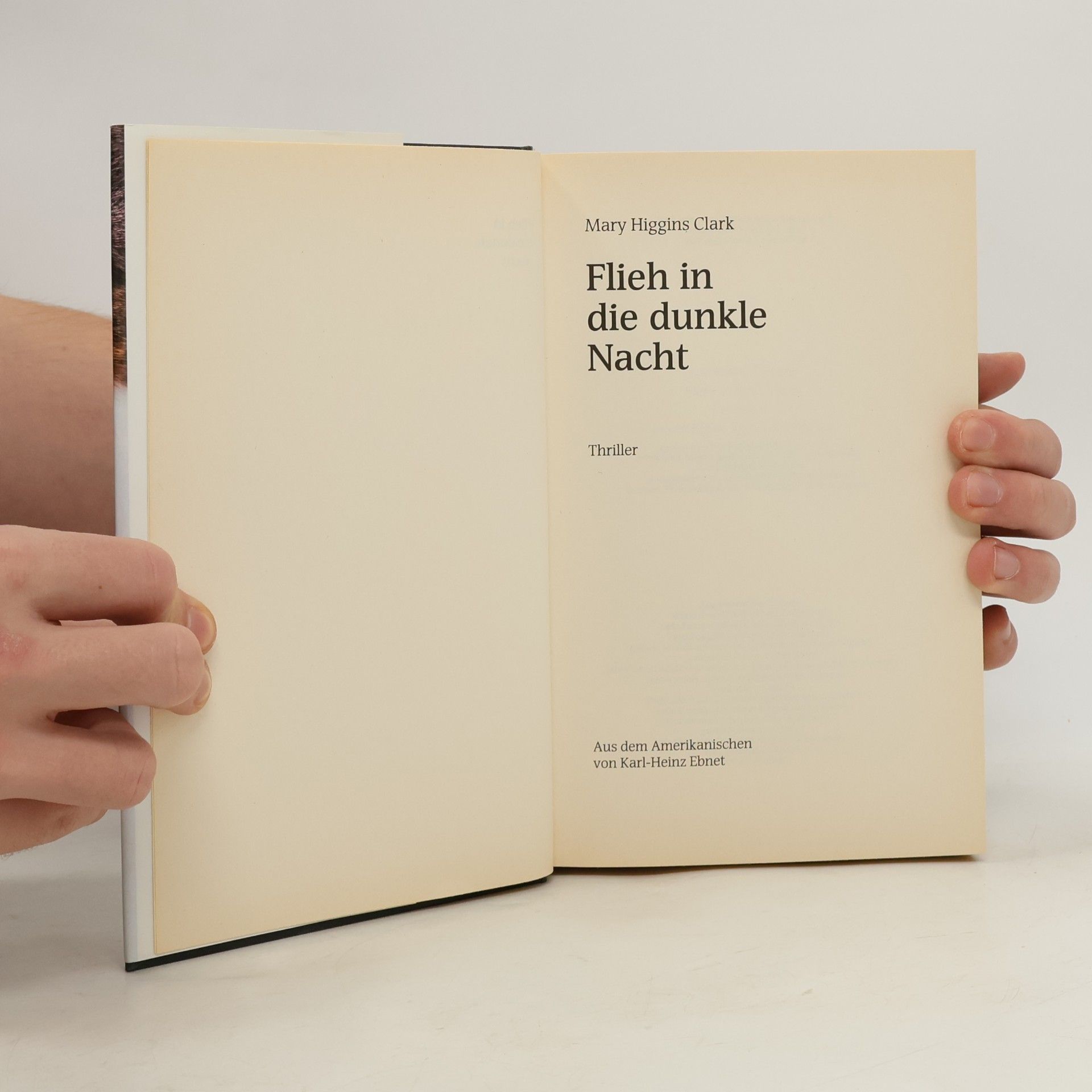 Mary Higgins Clark Flieh in die dunkle Nacht