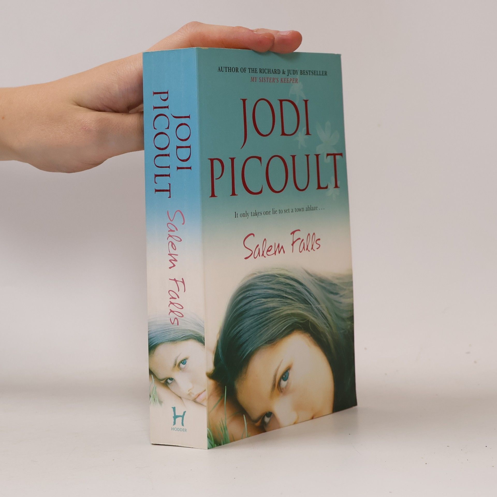 Jodi Picoult Salem Falls