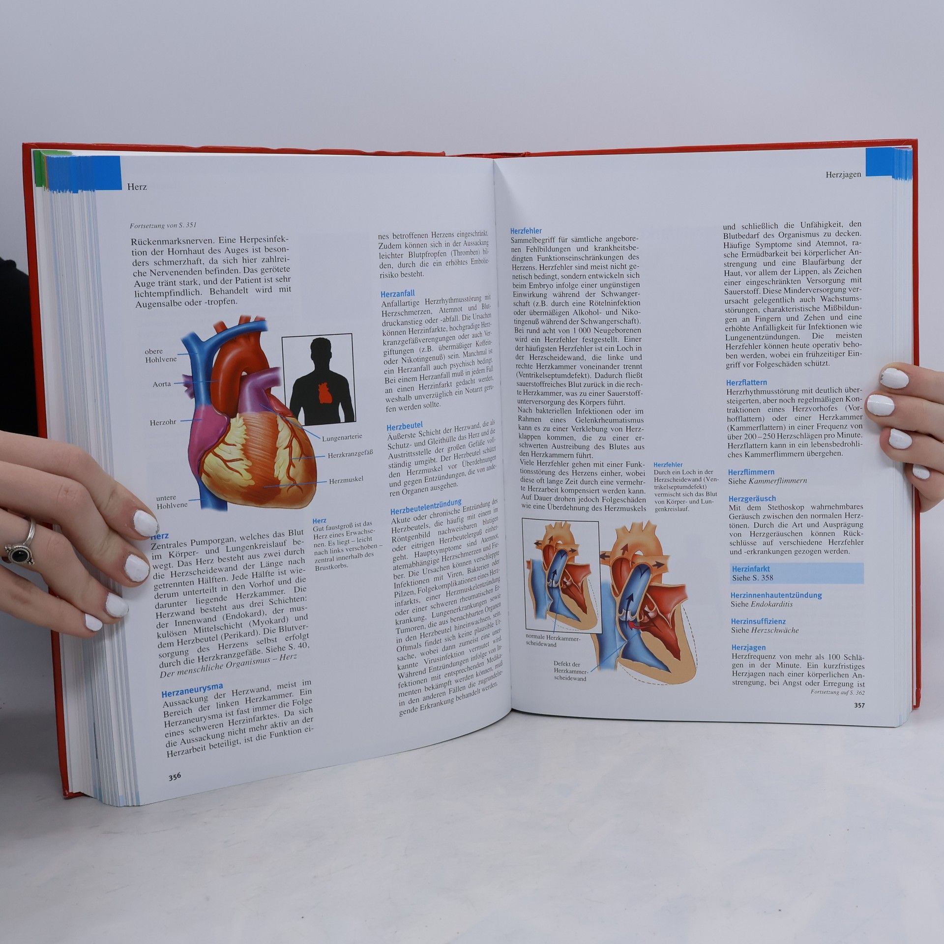 Various authors Das Lexikon der Gesundheit