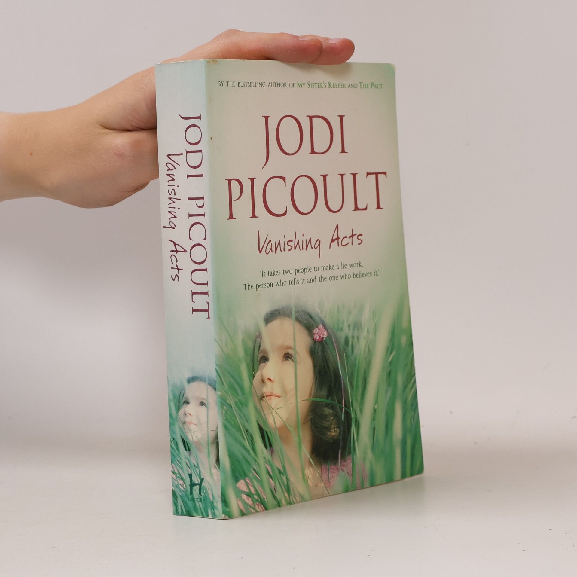 Jodi Picoult Vanishing Acts