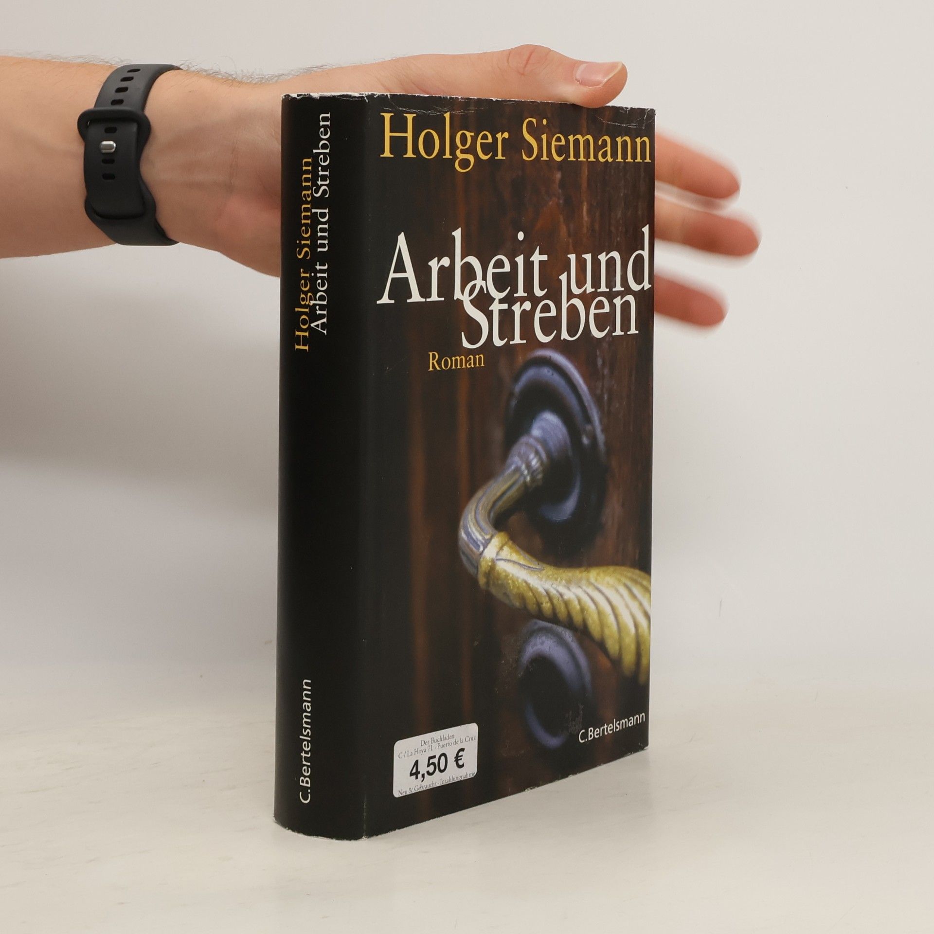 Holger Siemann Arbeit und Streben