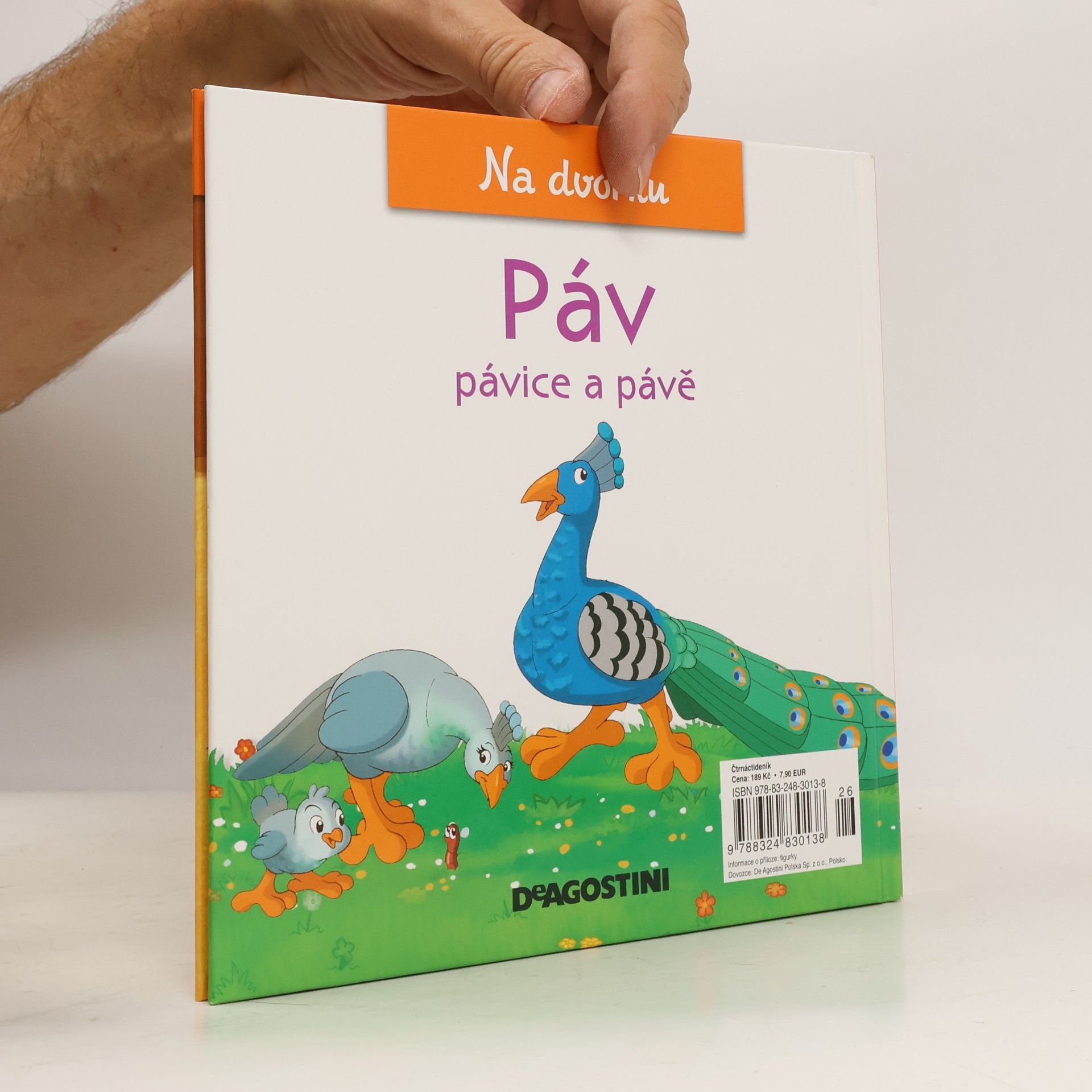 Gilles Laurendon Na dvorku 10. Páv