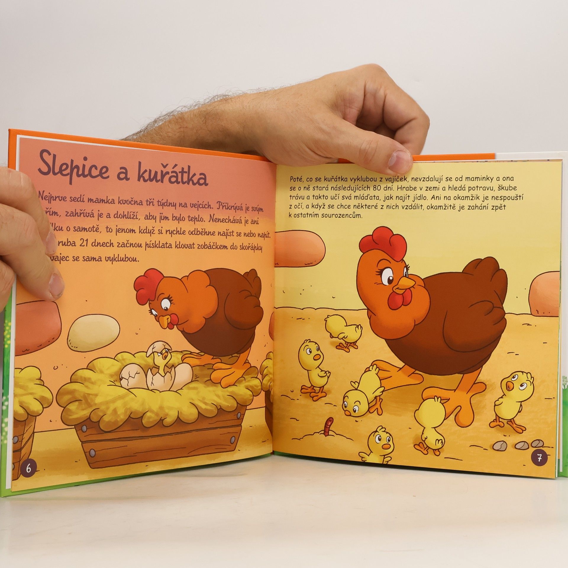 Various authors Na dvorku 19. Zvířátka a jejich děti