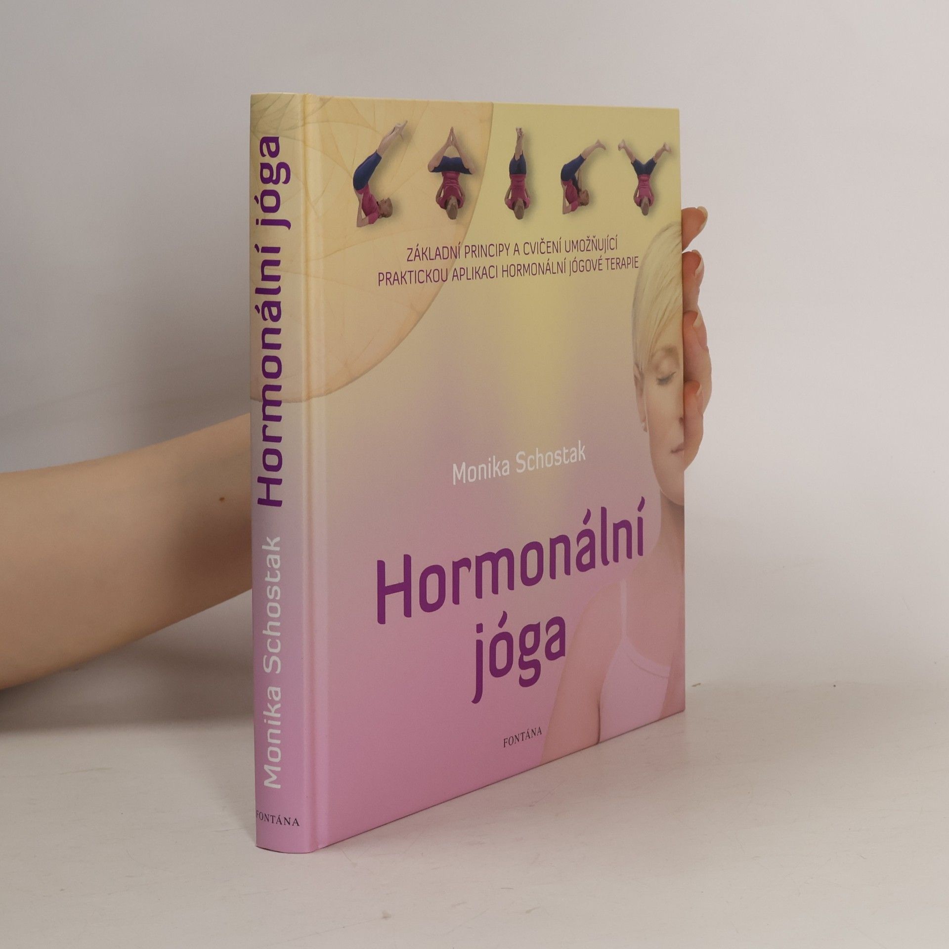 Alette Borgböhmer Hormonální jóga