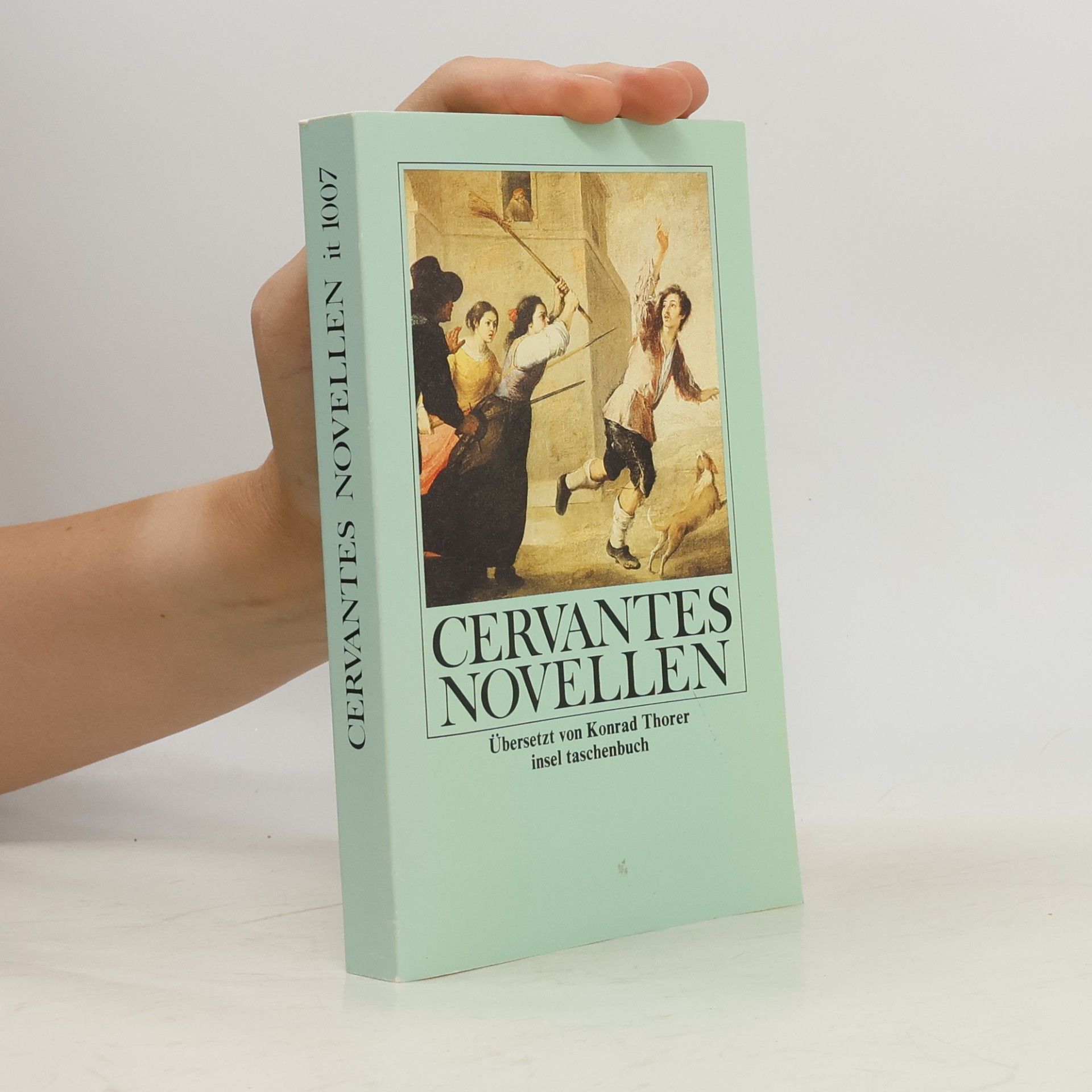 Miguel de Cervantes Die Novellen