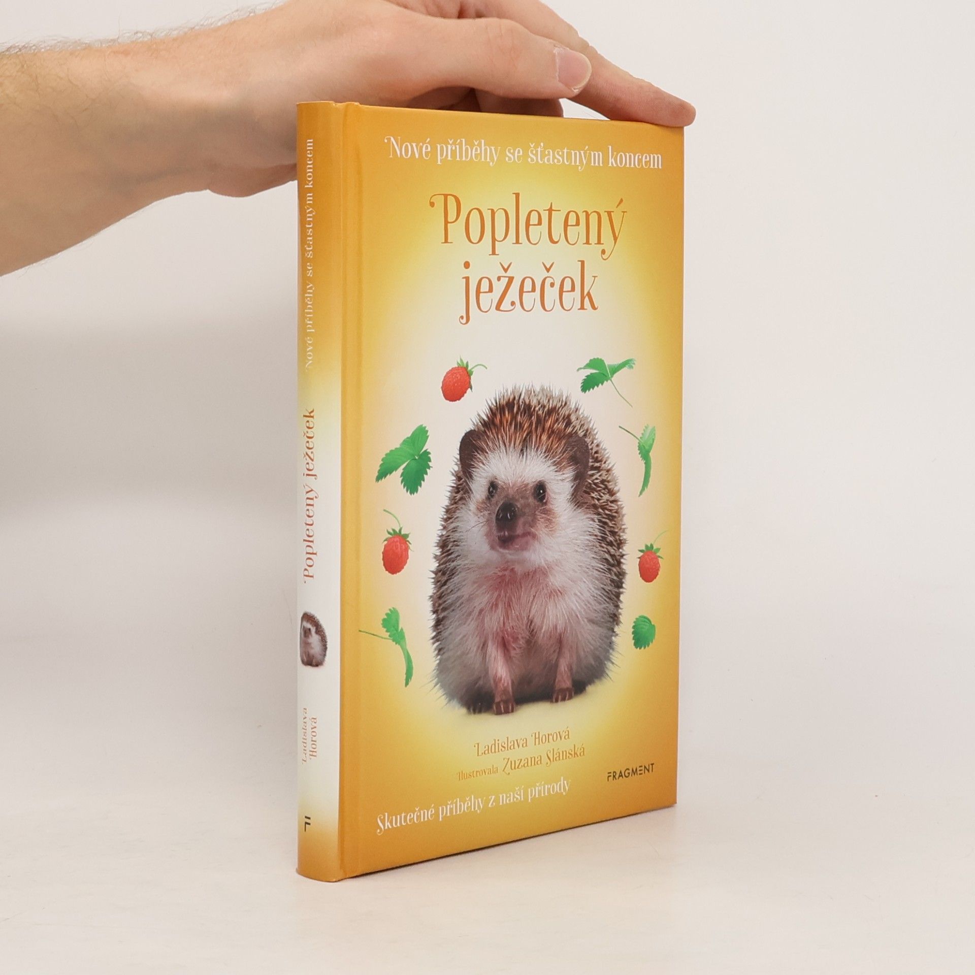 Ladislava Horová Popletený ježeček