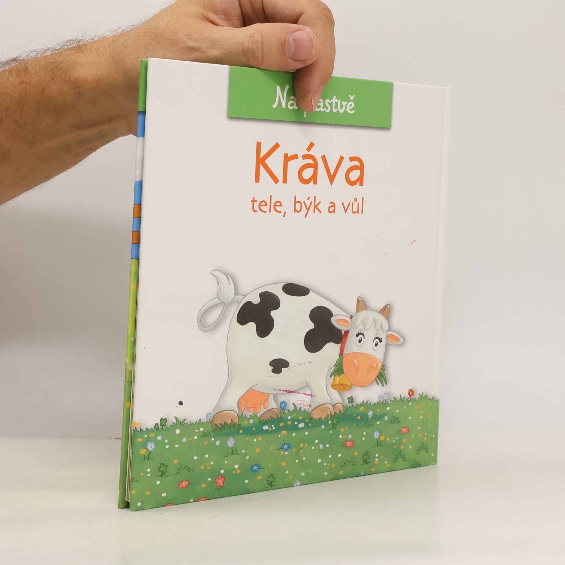 Christine Serbource Kráva, tele, býk a vůl