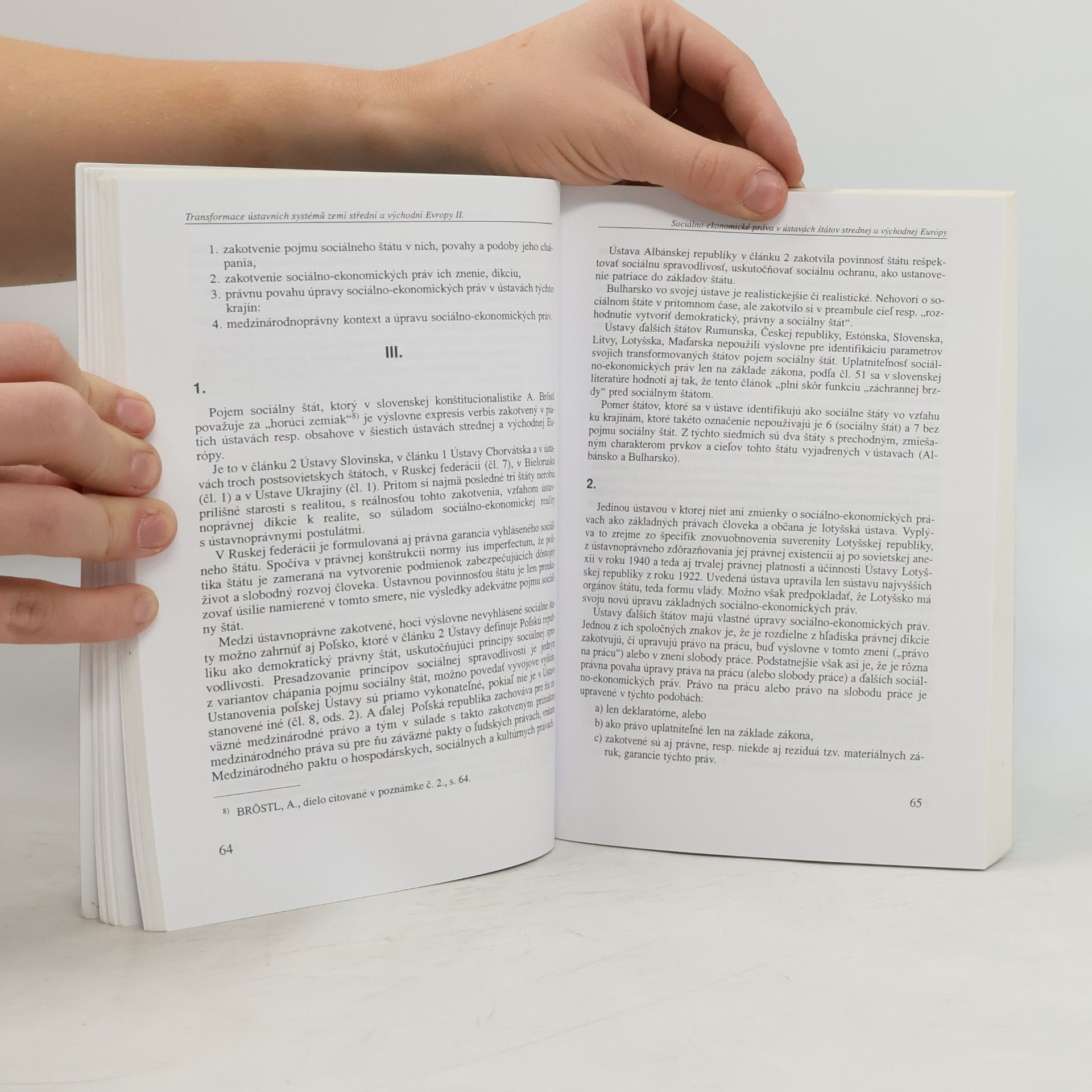 Autorenkollektiv Transformace ústavních systémů zemí střední a východní Evropy
