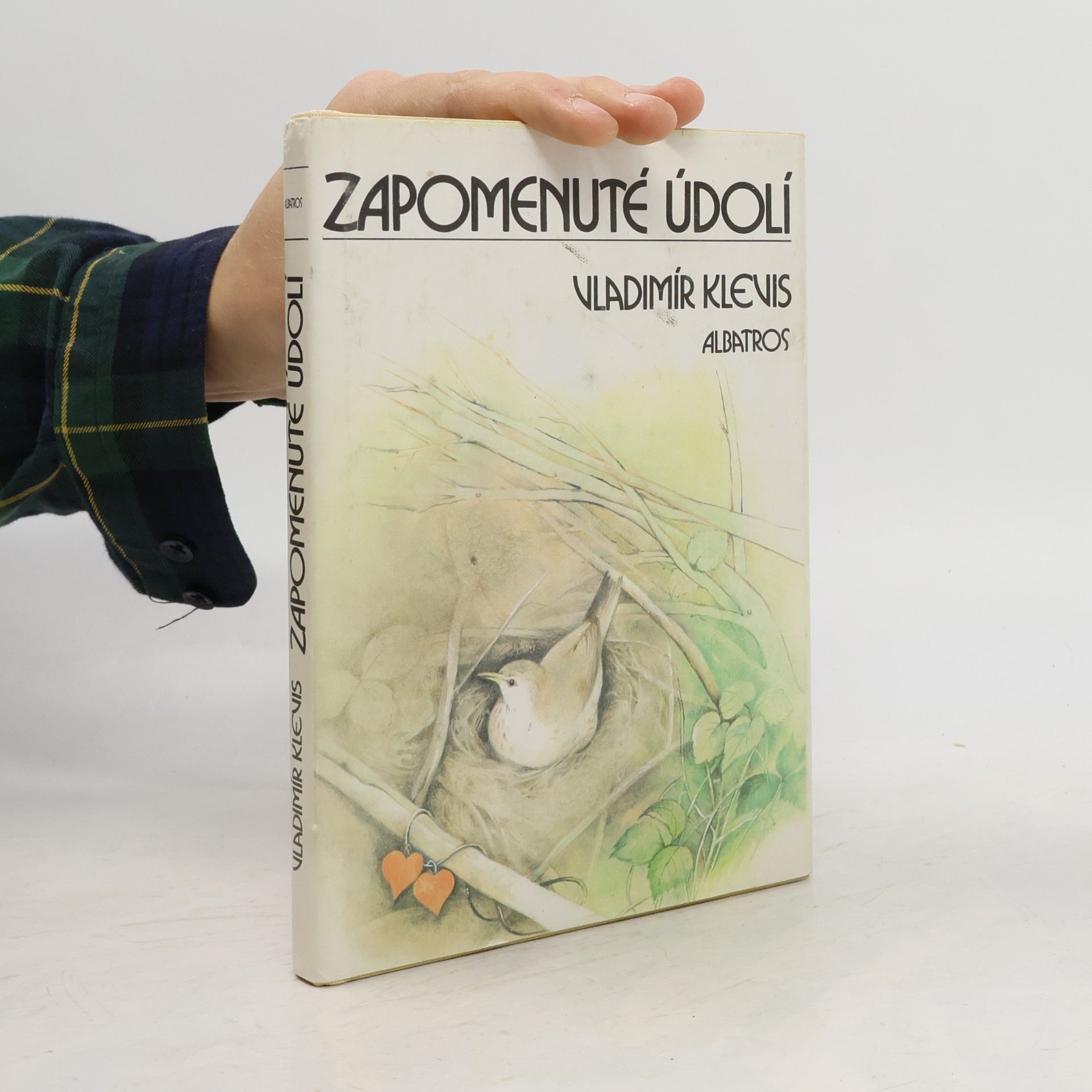Zapomenuté údolí