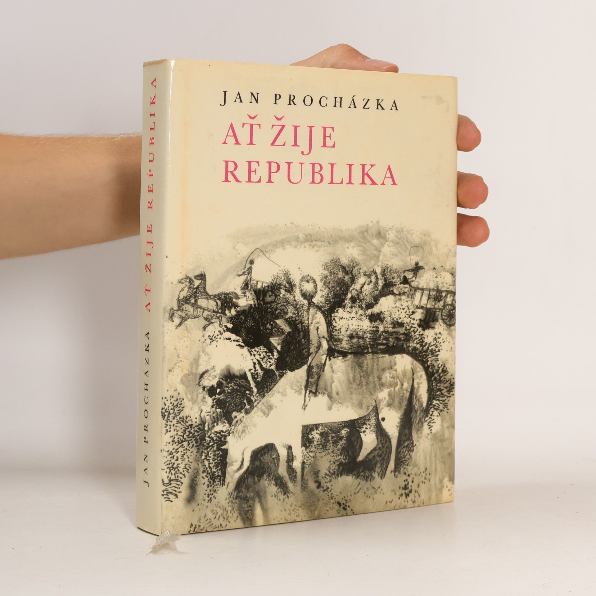 Ať žije republika