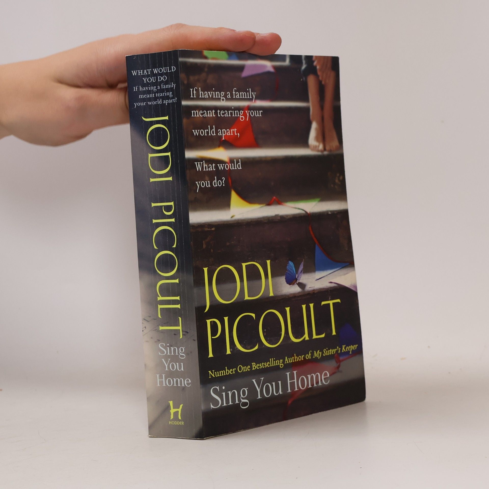Jodi Picoult Sing You Home