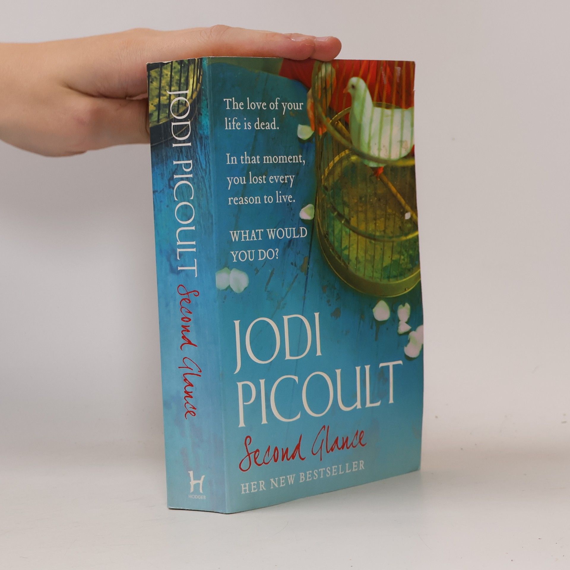 Jodi Picoult Second glance