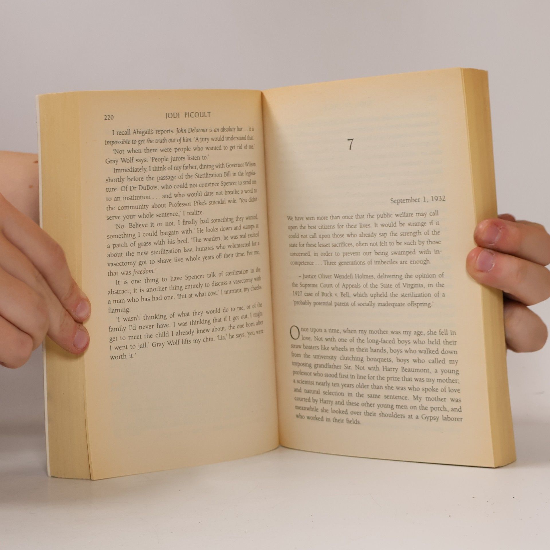 Jodi Picoult Second glance