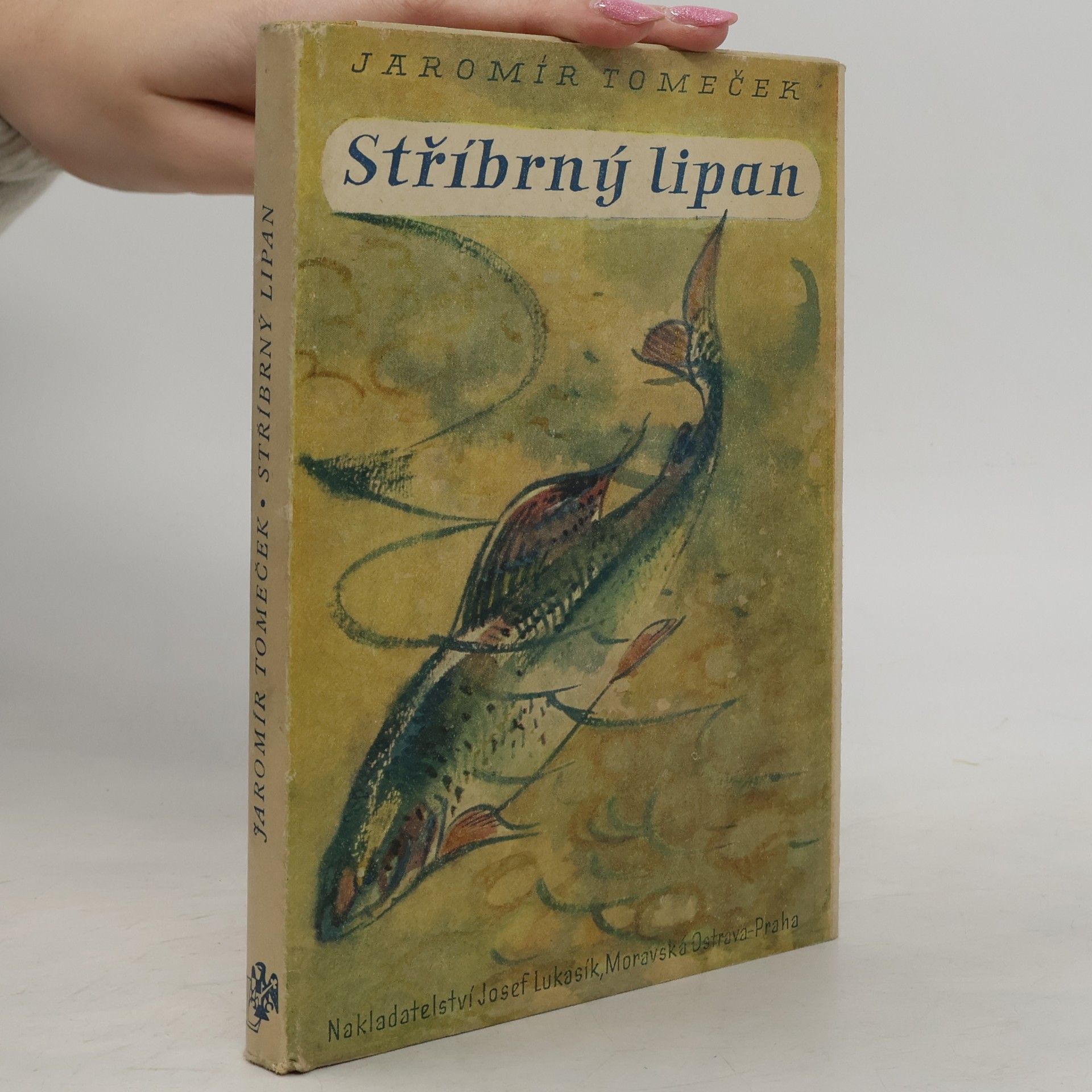 Jaromír Tomeček Stříbrný lipan