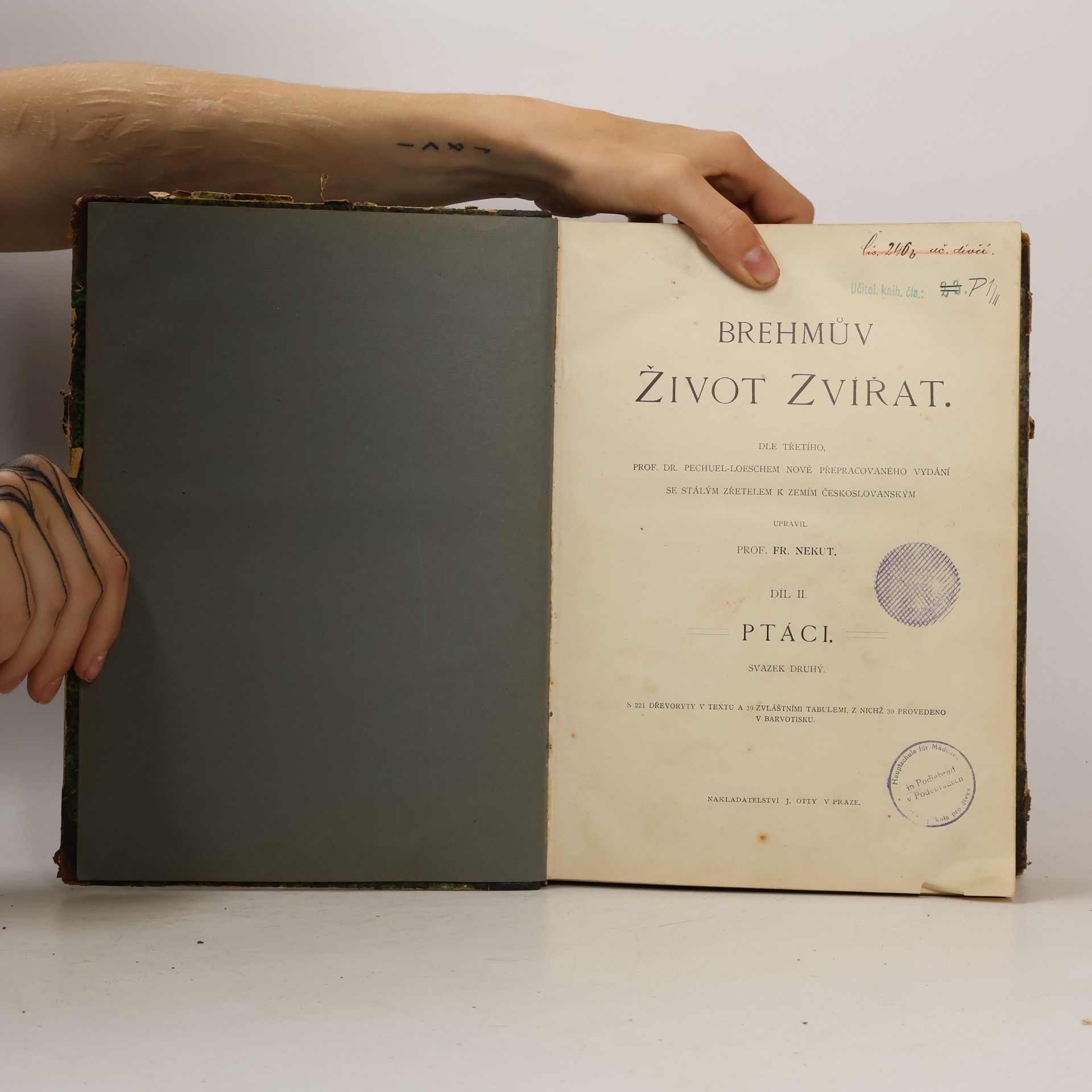 Brehm Život zvířat Ptáci