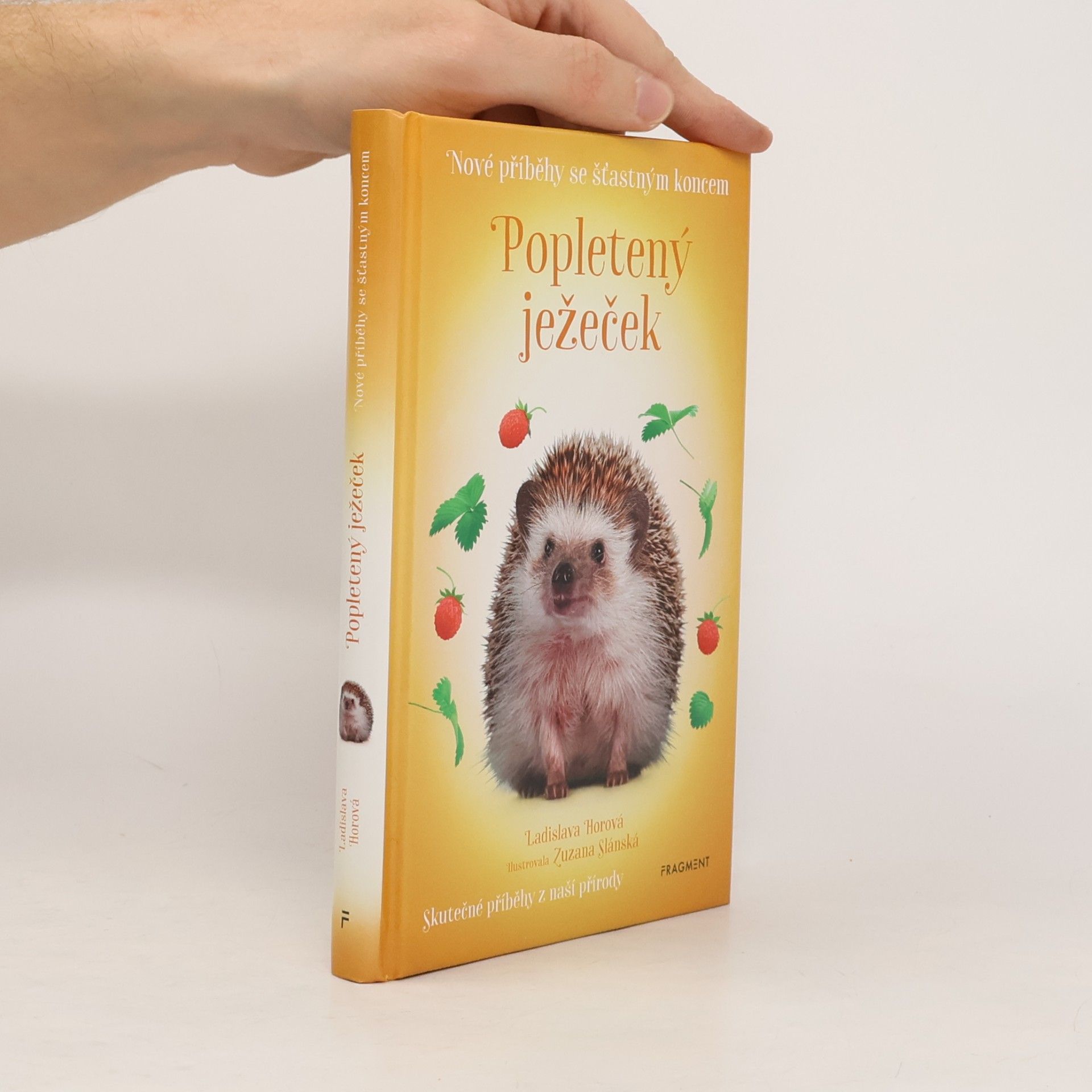 Ladislava Horová Popletený ježeček