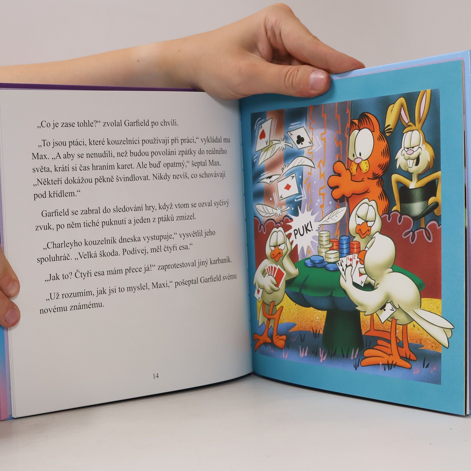 Jim Davis Garfield kouzelníkem