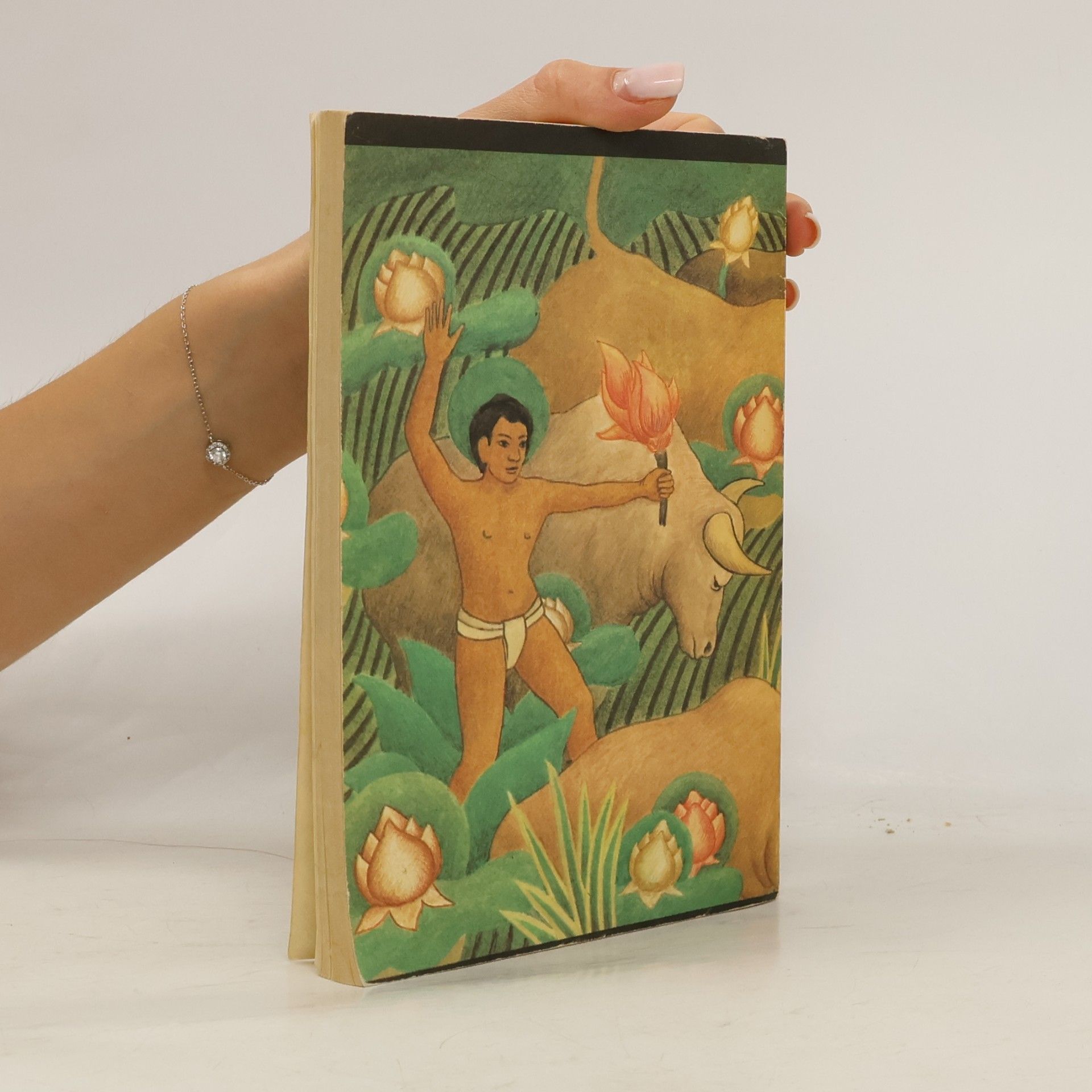 Rudyard Kipling Das Dschungelbuch