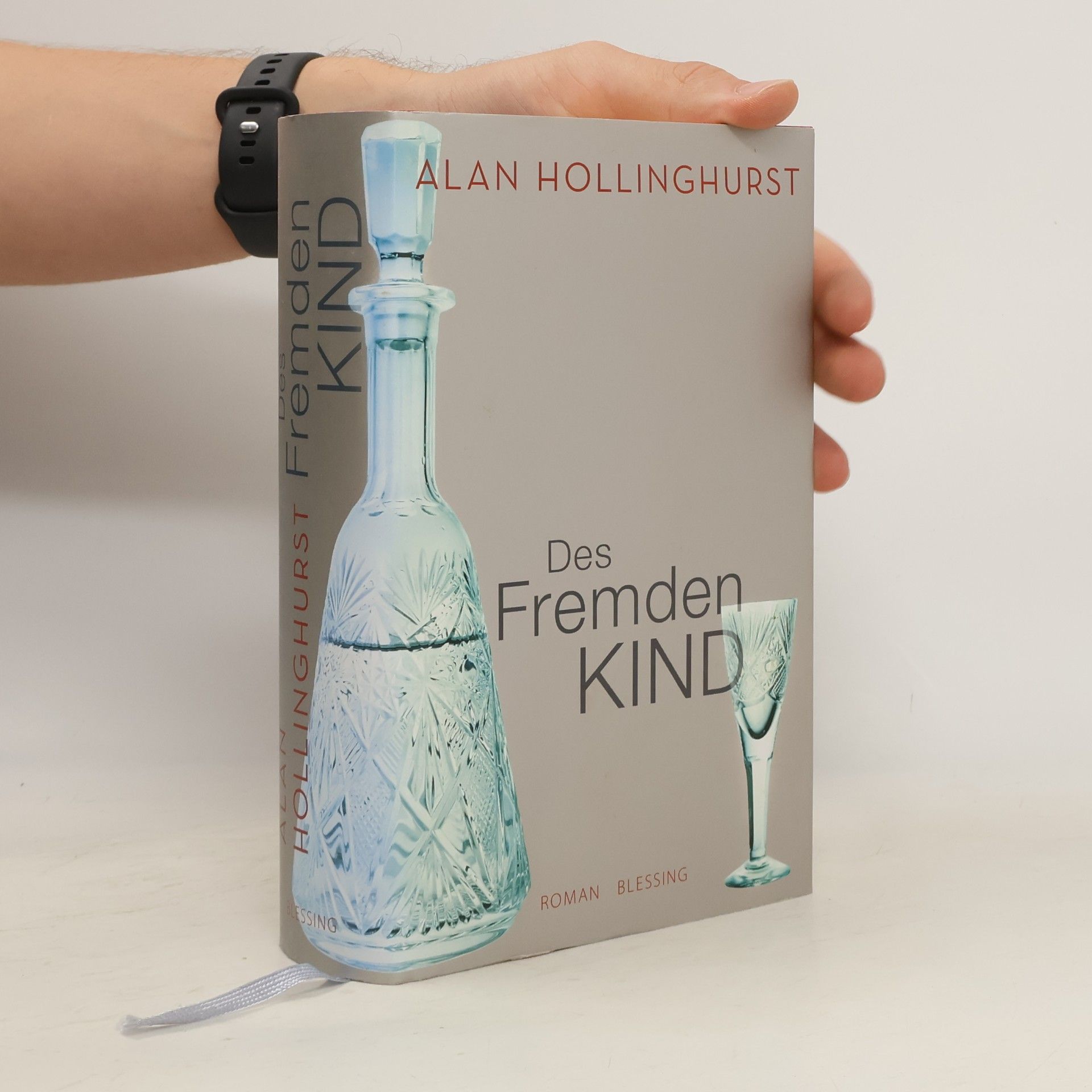 Alan Hollinghurst Des Fremden Kind