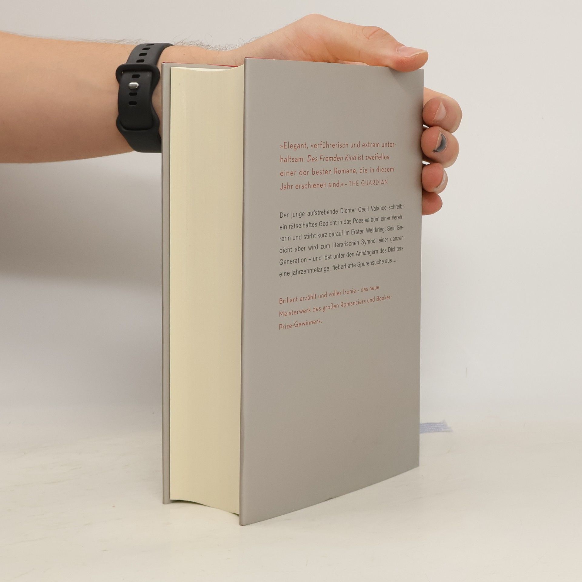 Alan Hollinghurst Des Fremden Kind