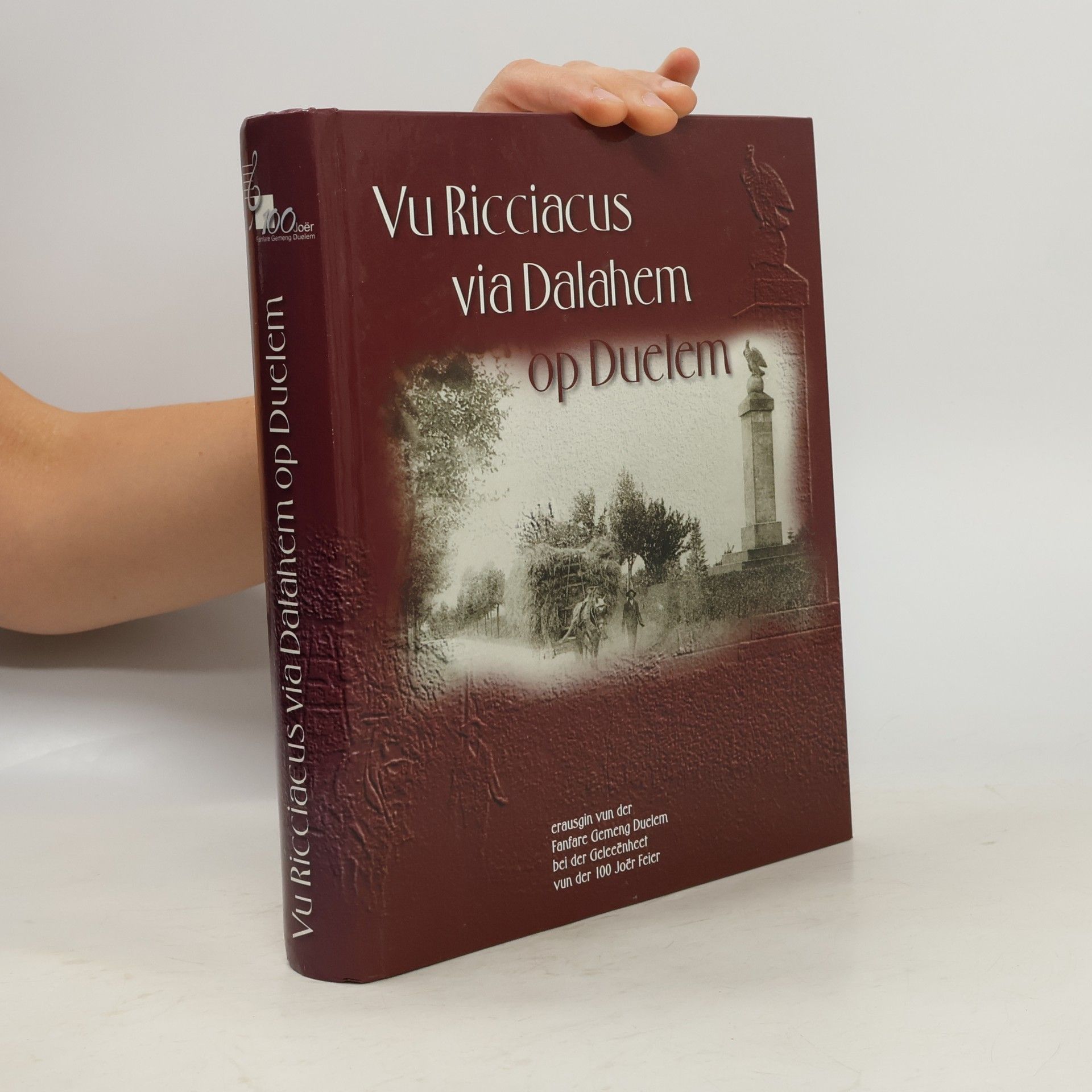 Vu Ricciacus via Dalahem op Duelem