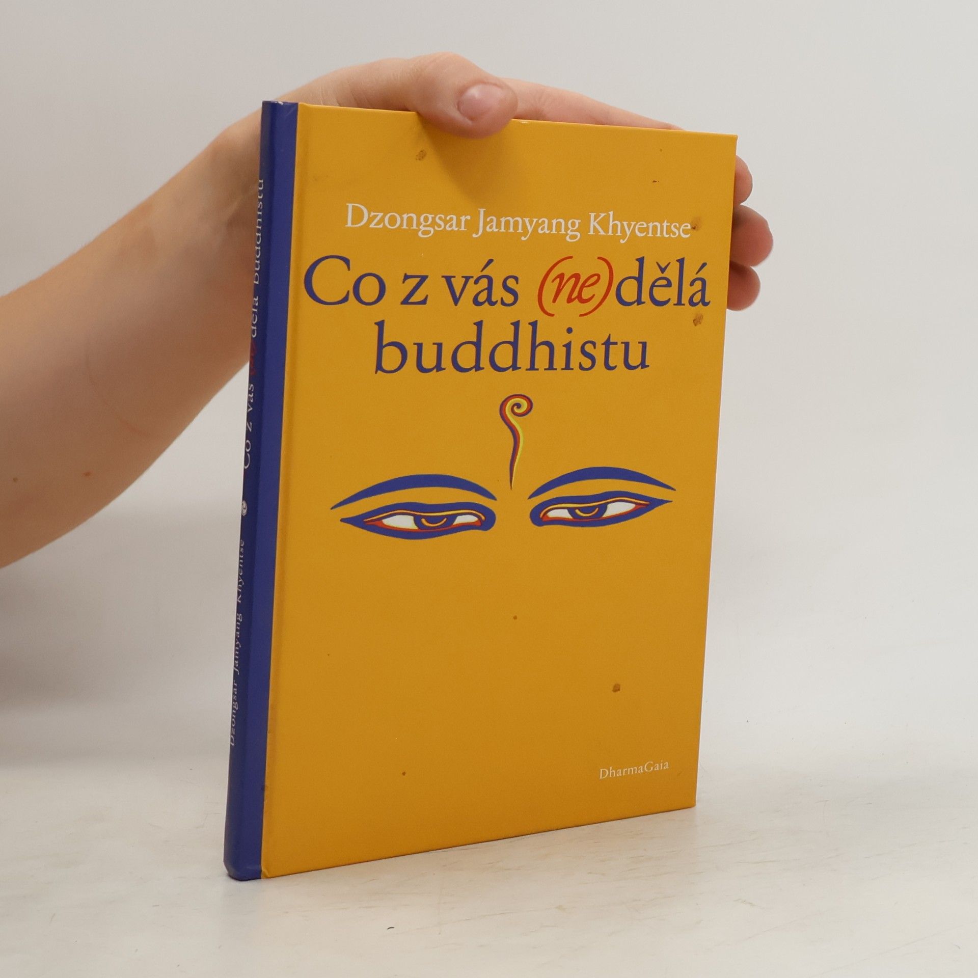 Khyentse Norbu Co z vás (ne)dělá buddhistu