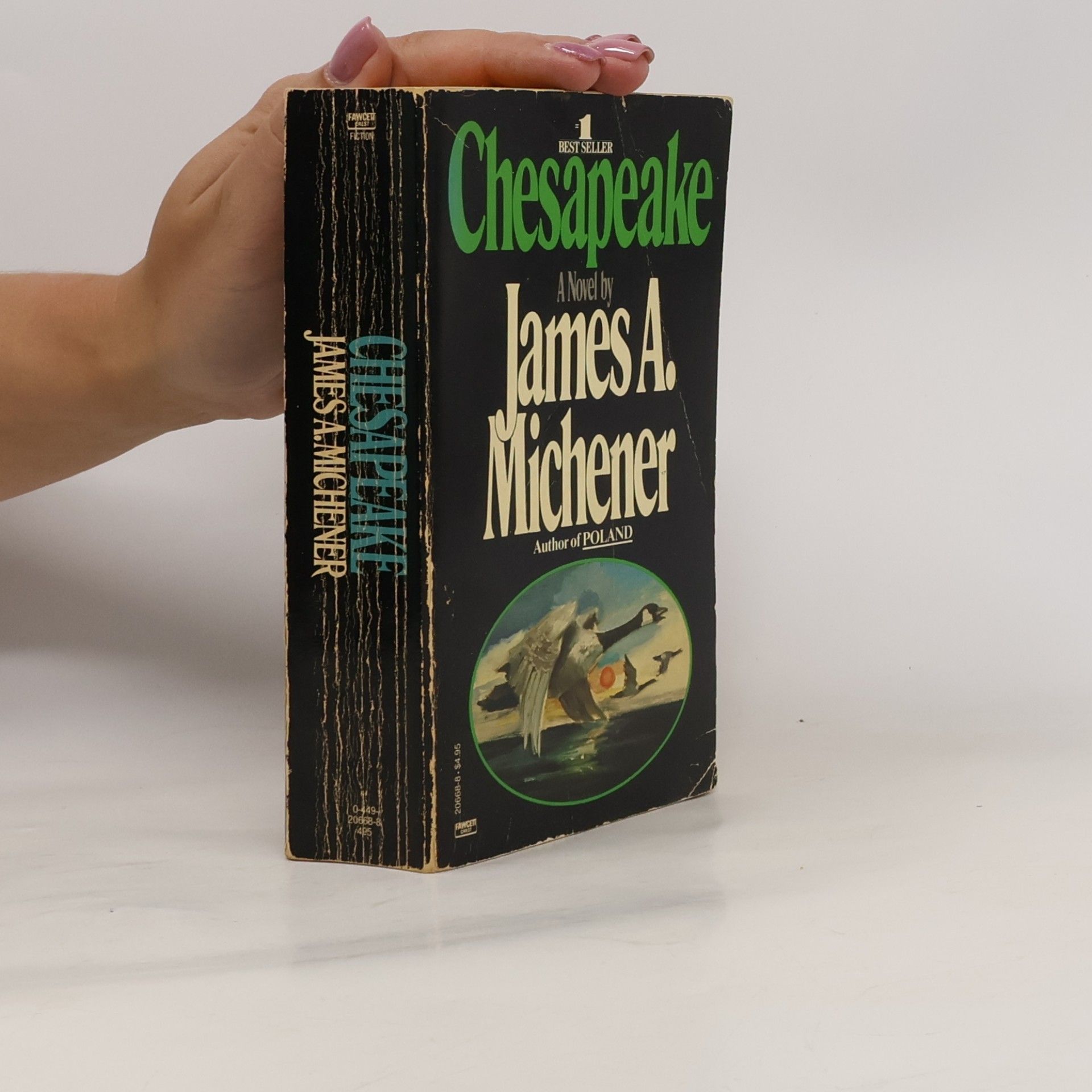 James A. Michener Chesapeake