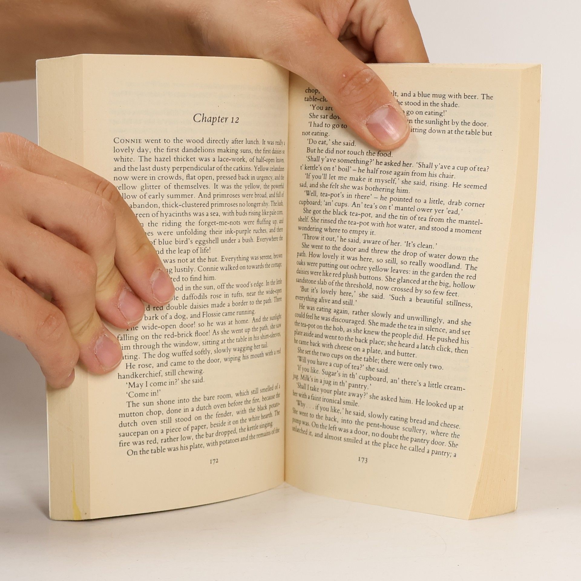 D. H. Lawrence Penguin Popular Classics: Lady Chatterley's Lover