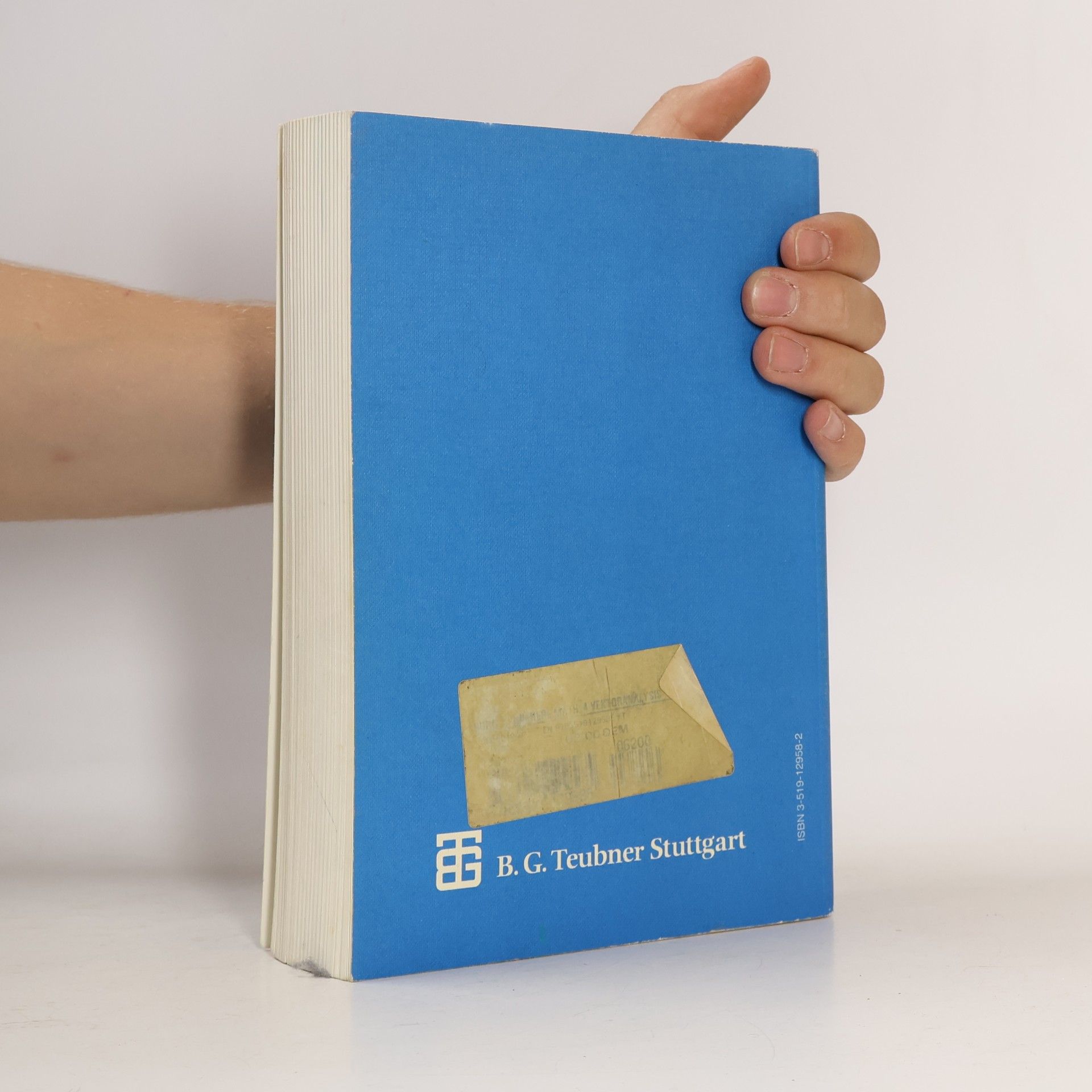 Klemens Burg Höhere Mathematik für Ingenieure