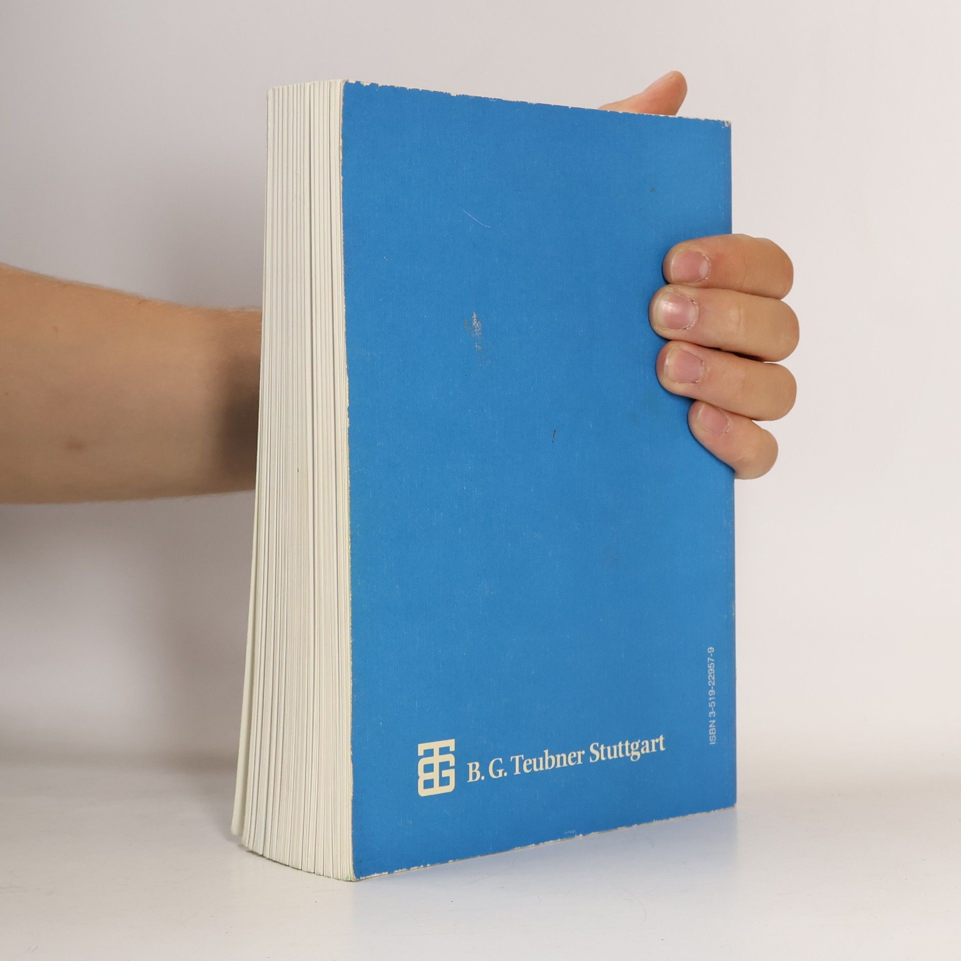 Klemens Burg Höhere Mathematik für Ingenieure