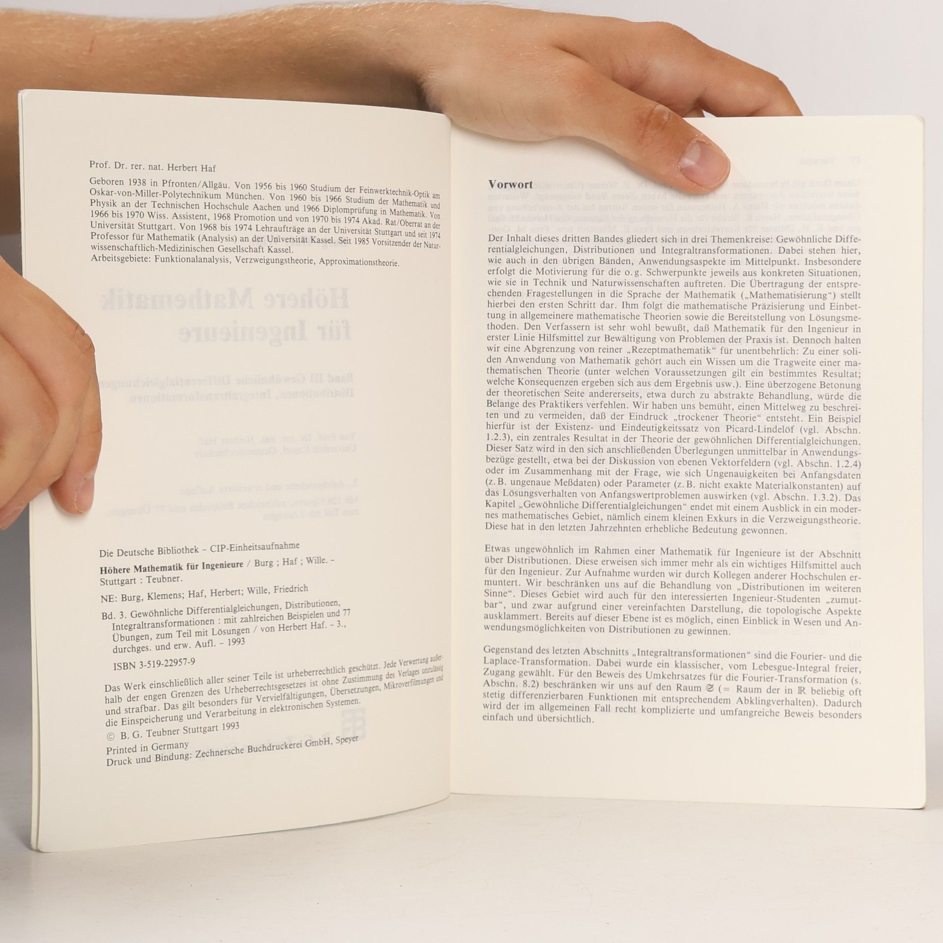 Klemens Burg Höhere Mathematik für Ingenieure