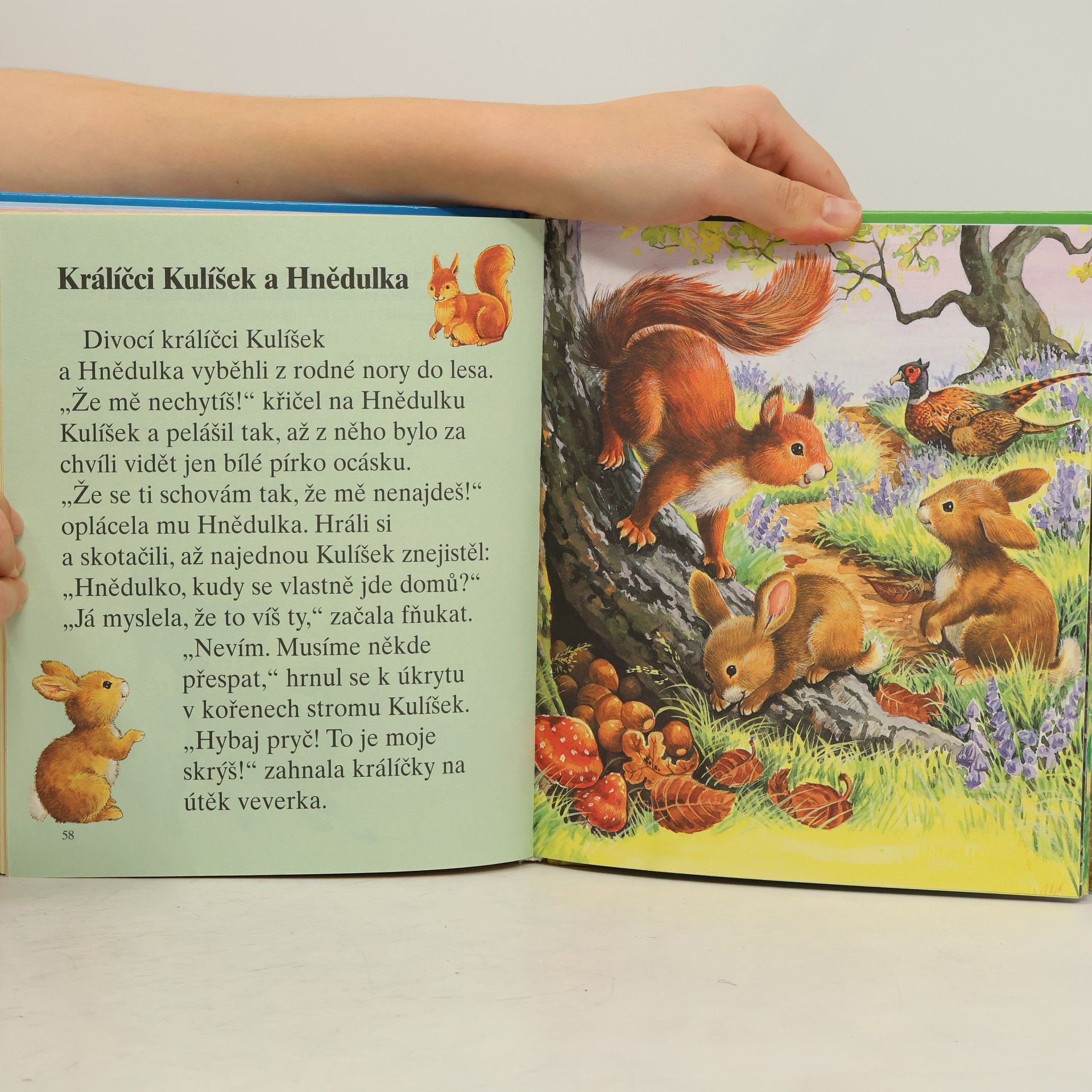 Autorenkollektiv Zvědavý Punťa a jiné příběhy