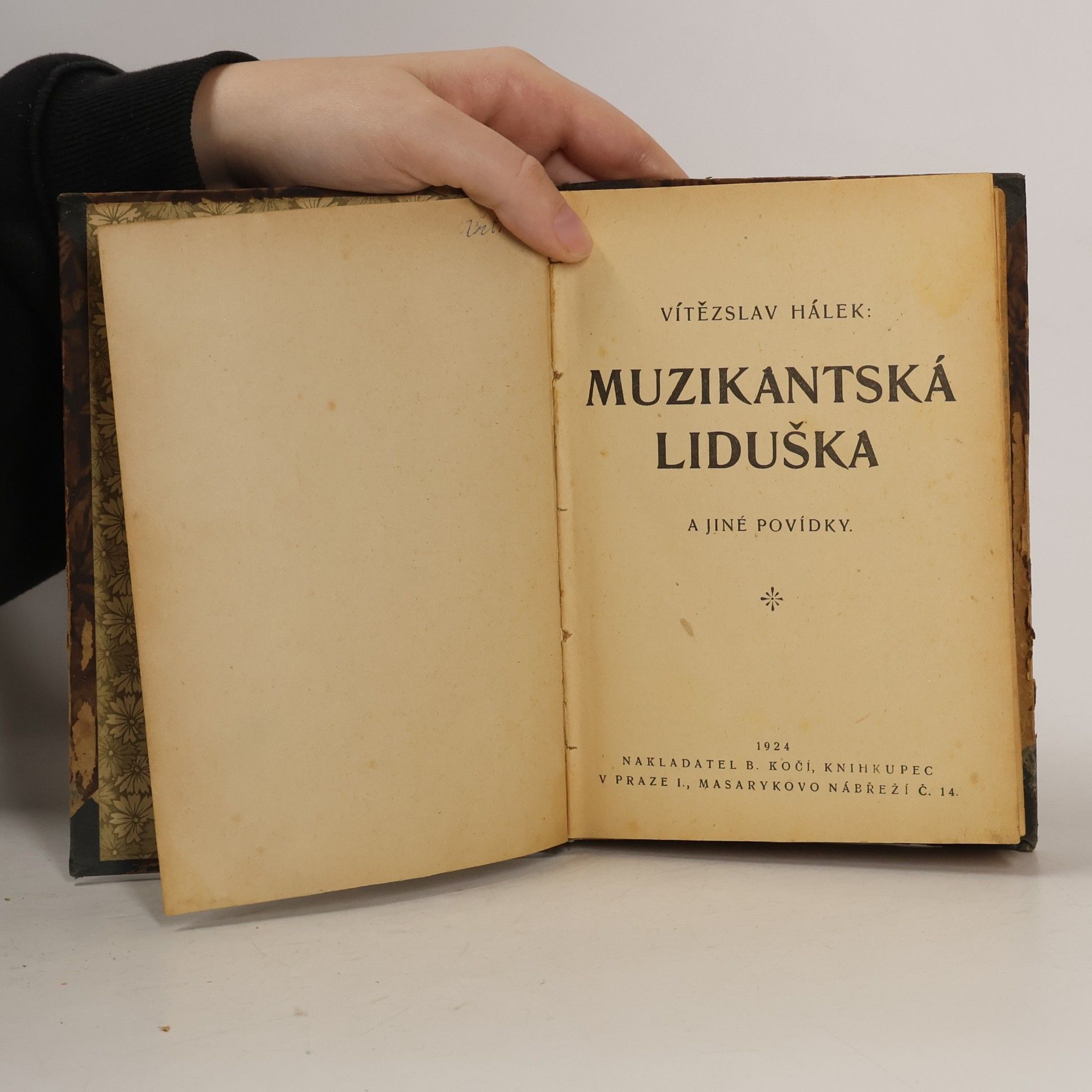 Vítězslav Hálek Muzikantská Liduška a jiné povídky
