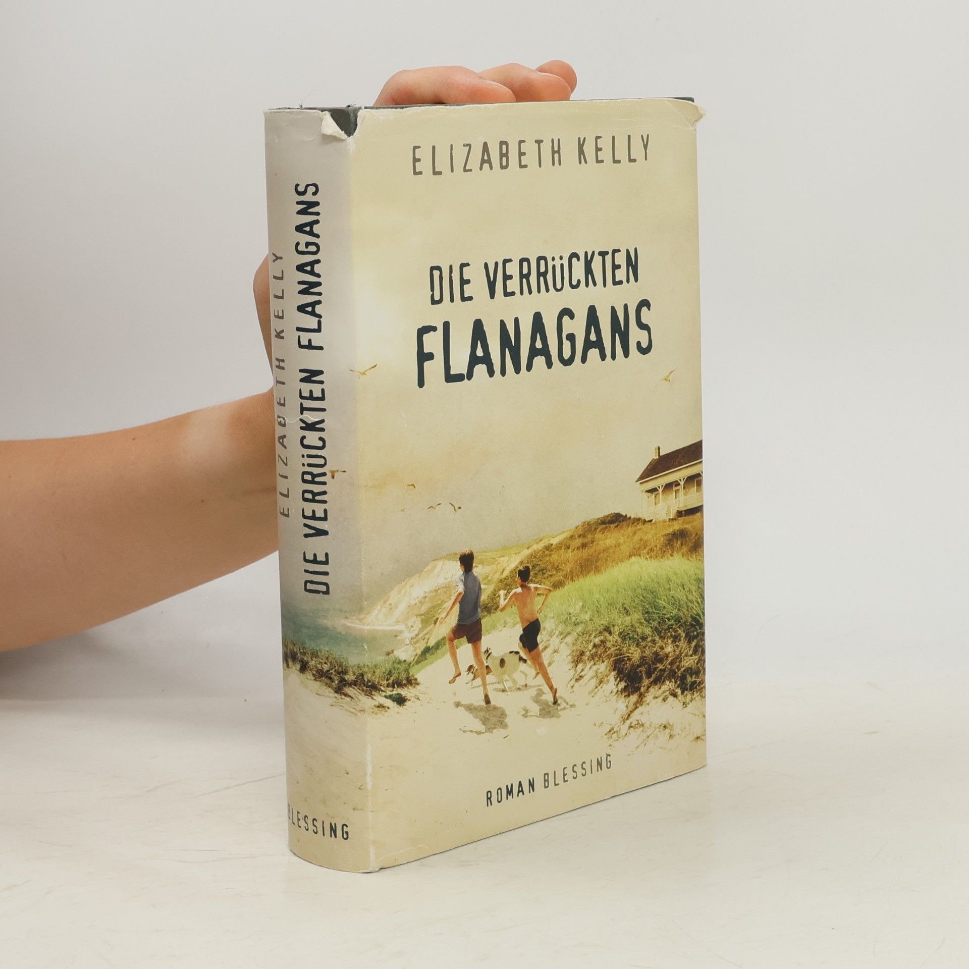 Elizabeth Kelly Die verrückten Flanagans