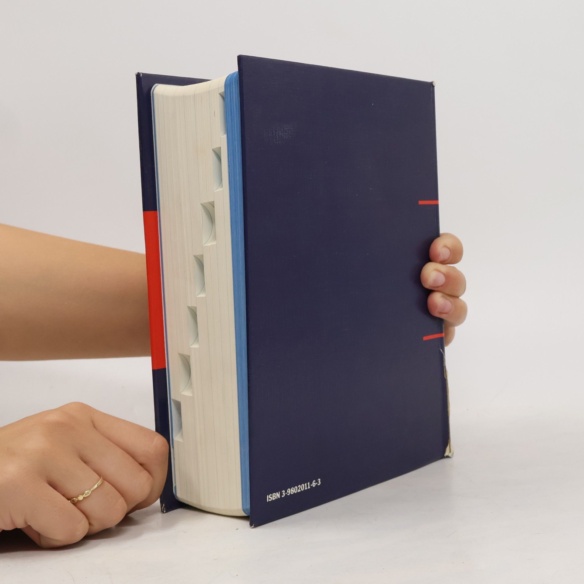 Consilium Cedip Practicum - Ausgabe Österreich. Handbuch für Diagnose und Therapie 1993/94