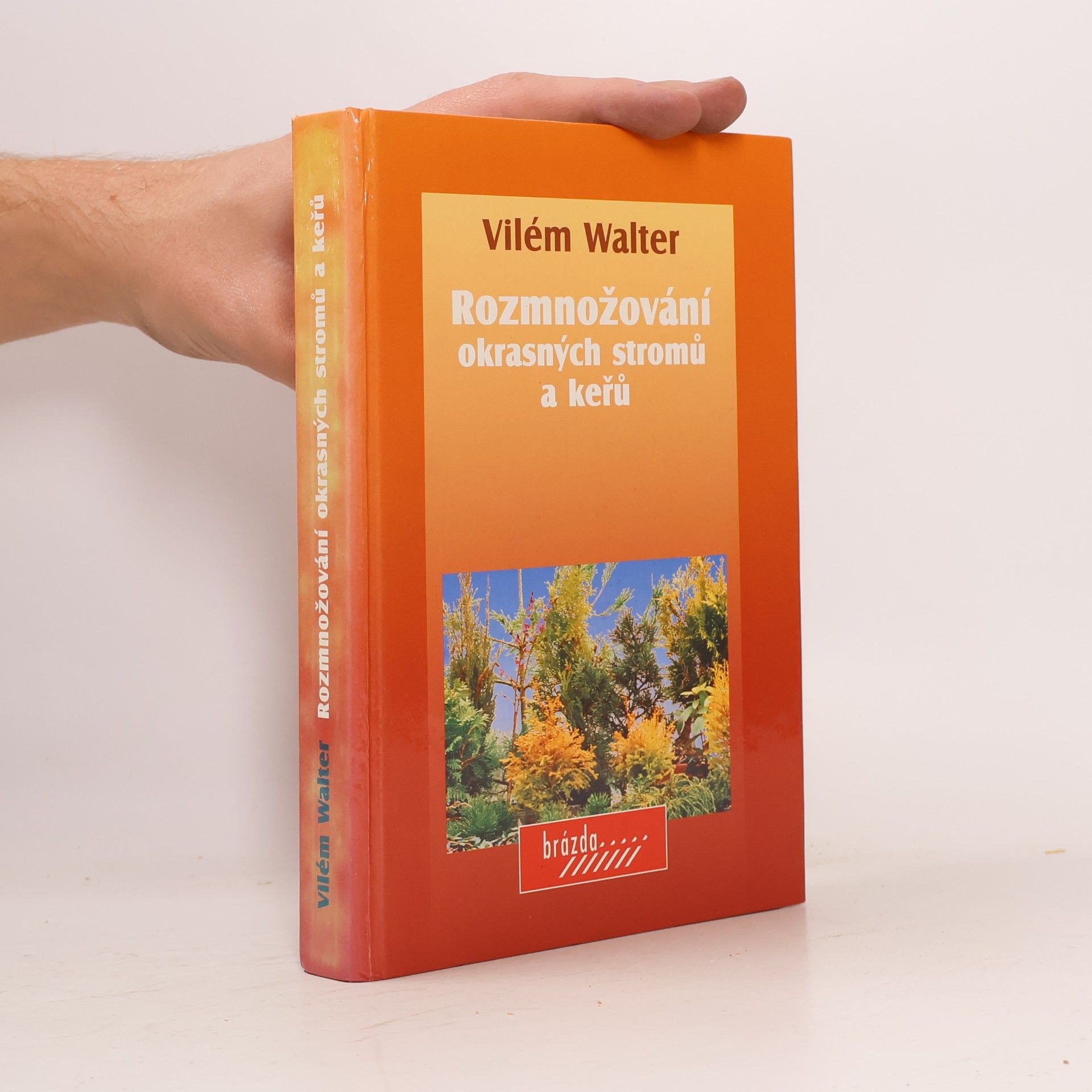 Vilém Walter Rozmnožování okrasných stromů a keřů