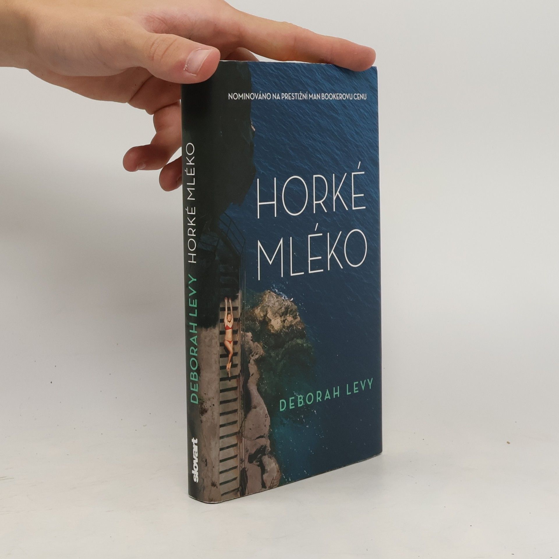 Deborah Levy Horké mléko
