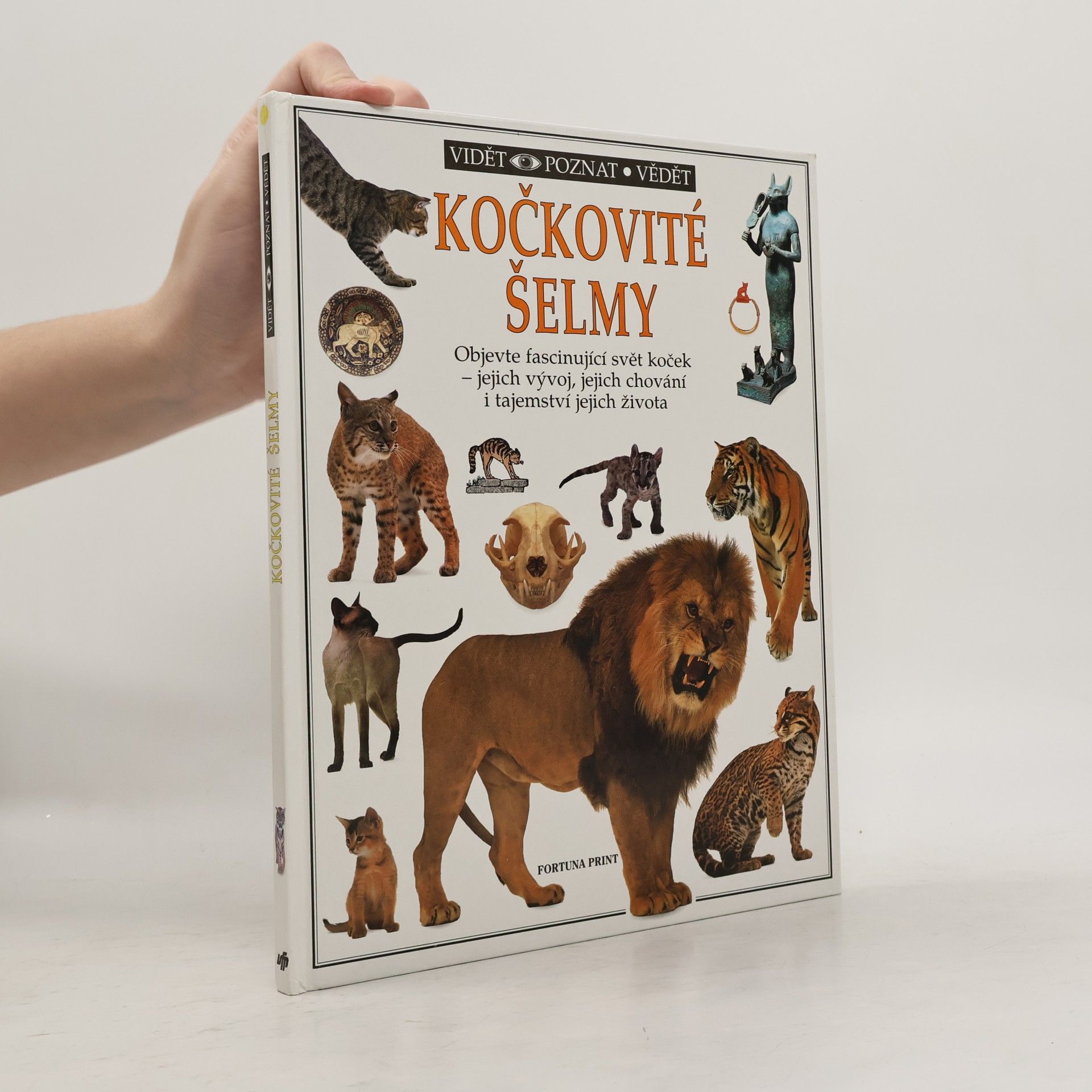 Juliet Clutton-Brock Kočkovité šelmy