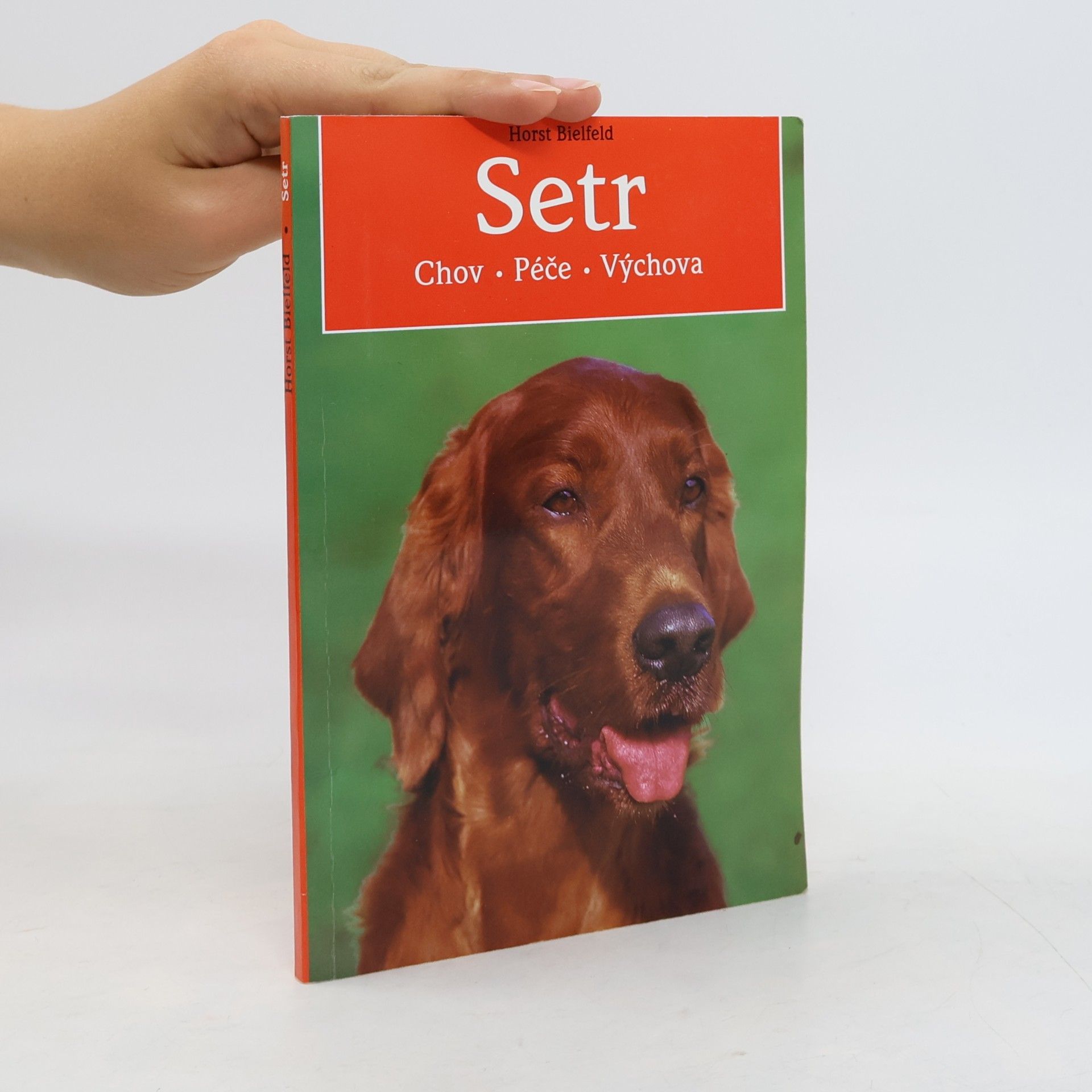 Horst Bielfeld Setr: chov, péče, výchova