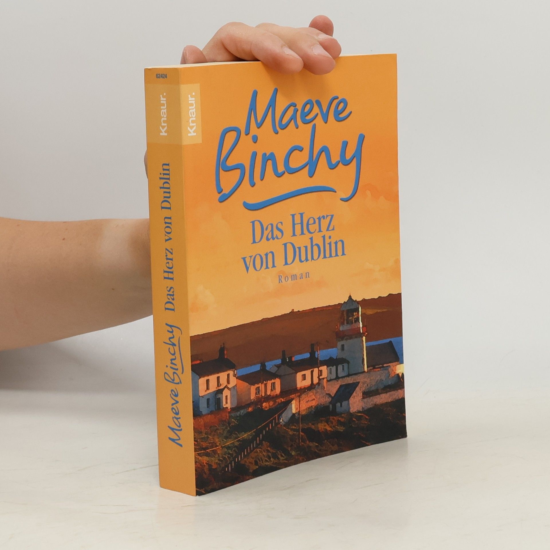 Das Herz von Dublin