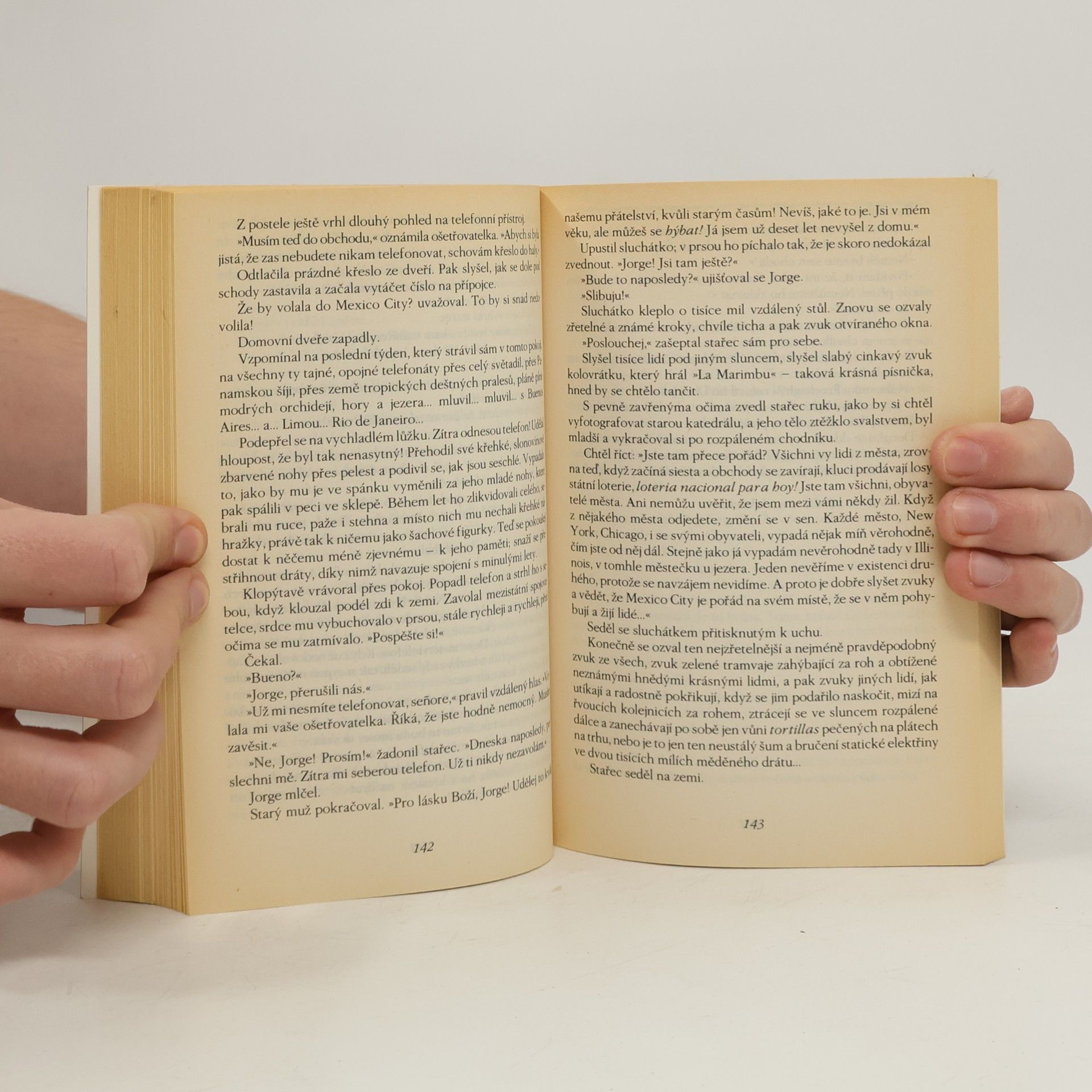Ray Bradbury Pampeliškové víno
