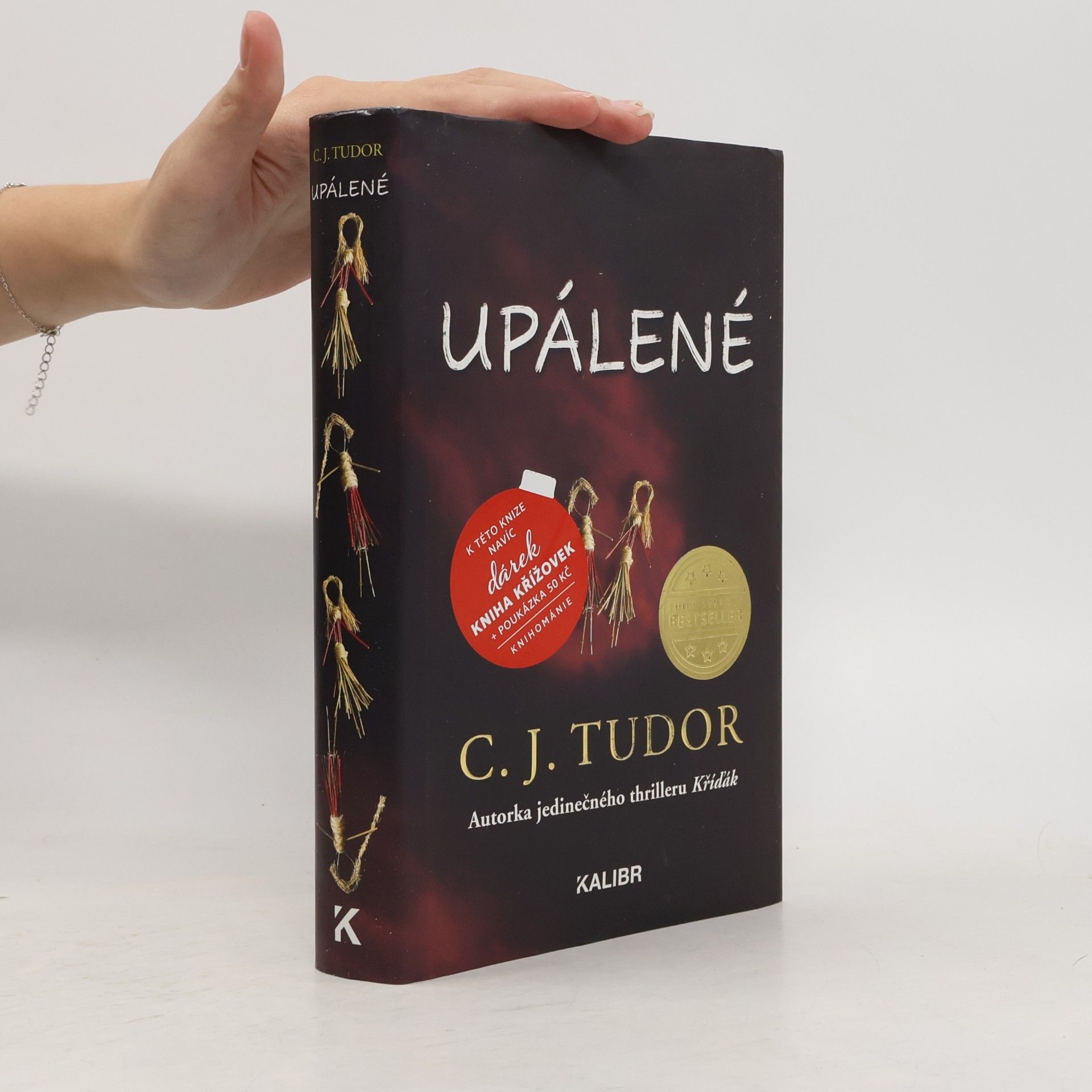 C. J. Tudor Upálené