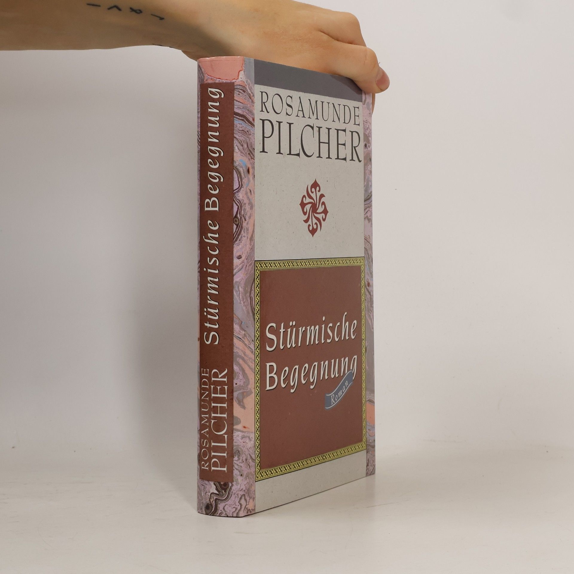 Rosamunde Pilcher Strürmische Begegnung