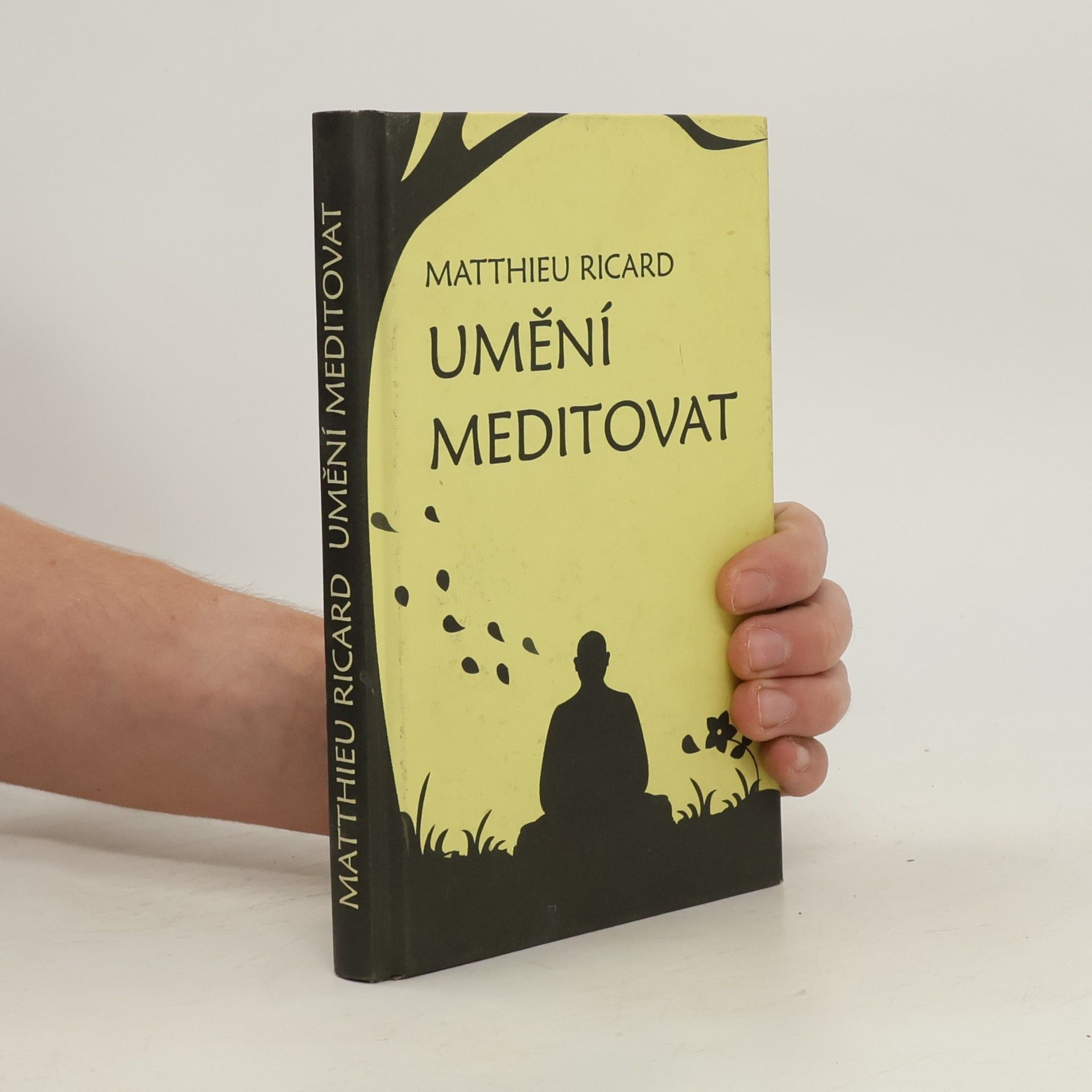 Matthieu Ricard Umění meditovat