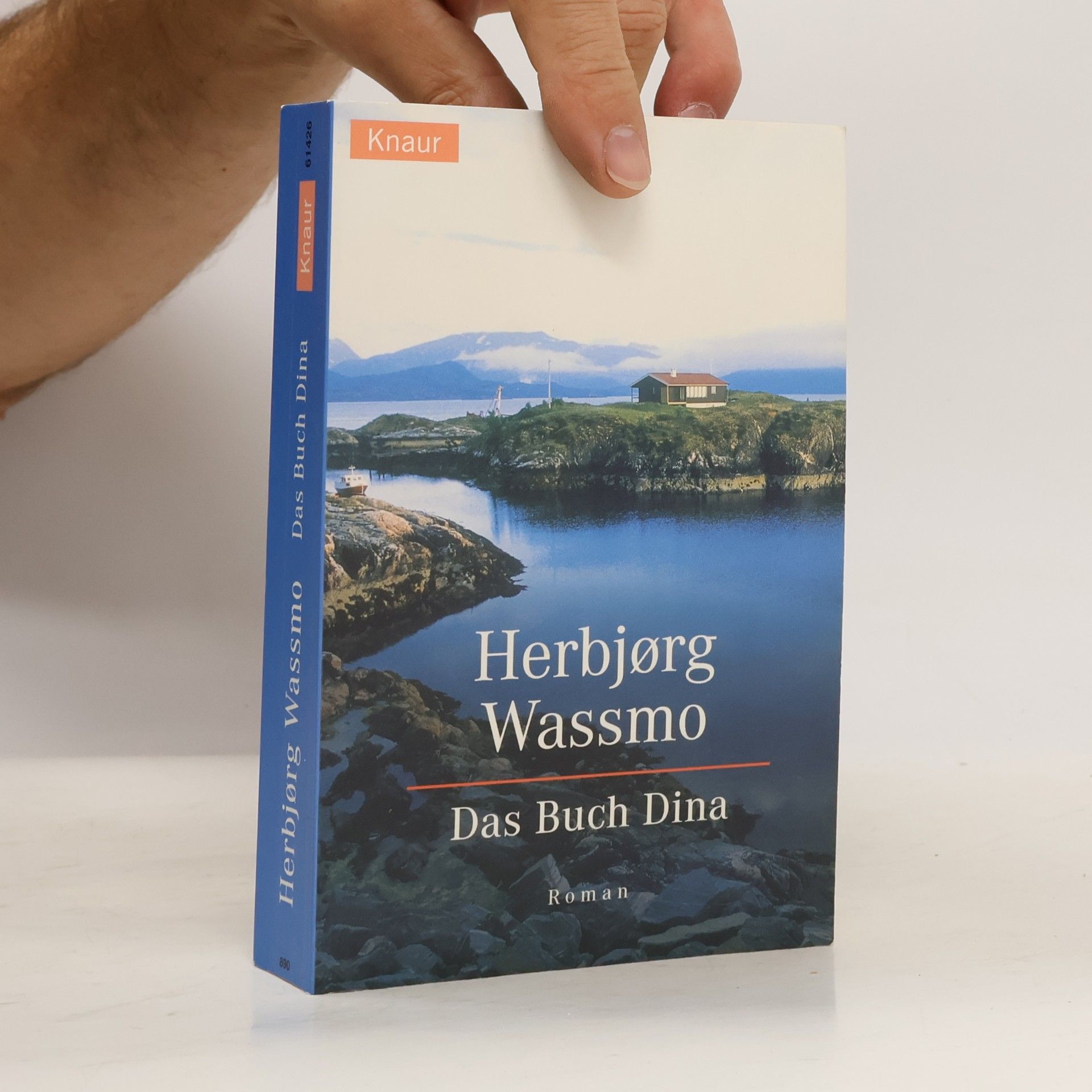 Herbjørg Wassmo Das Buch Dina