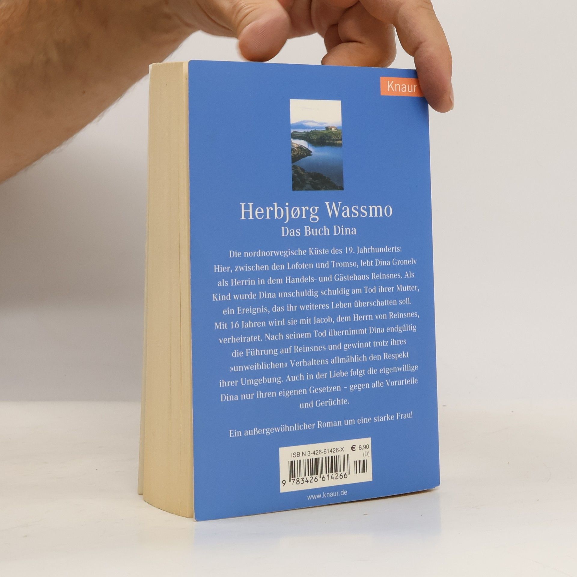 Herbjørg Wassmo Das Buch Dina