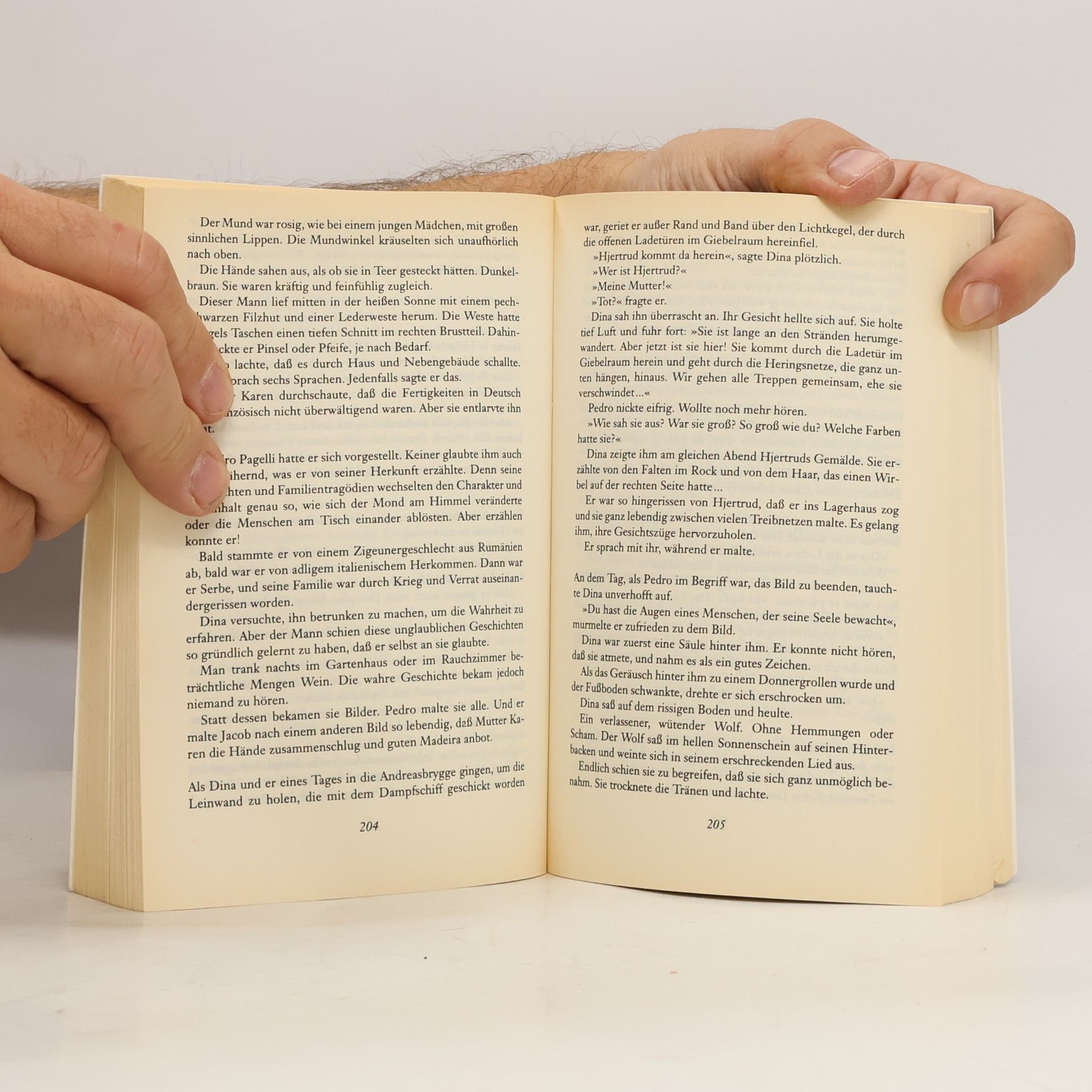 Herbjørg Wassmo Das Buch Dina