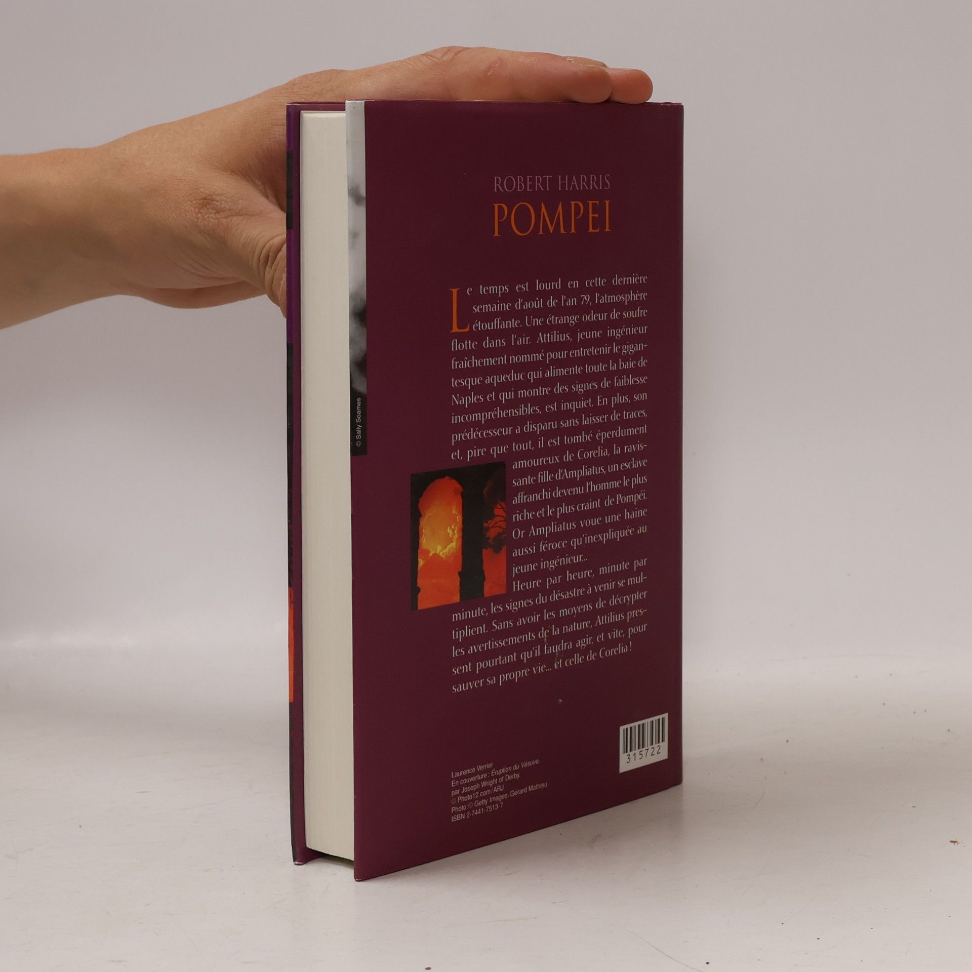 Robert Harris Pompei