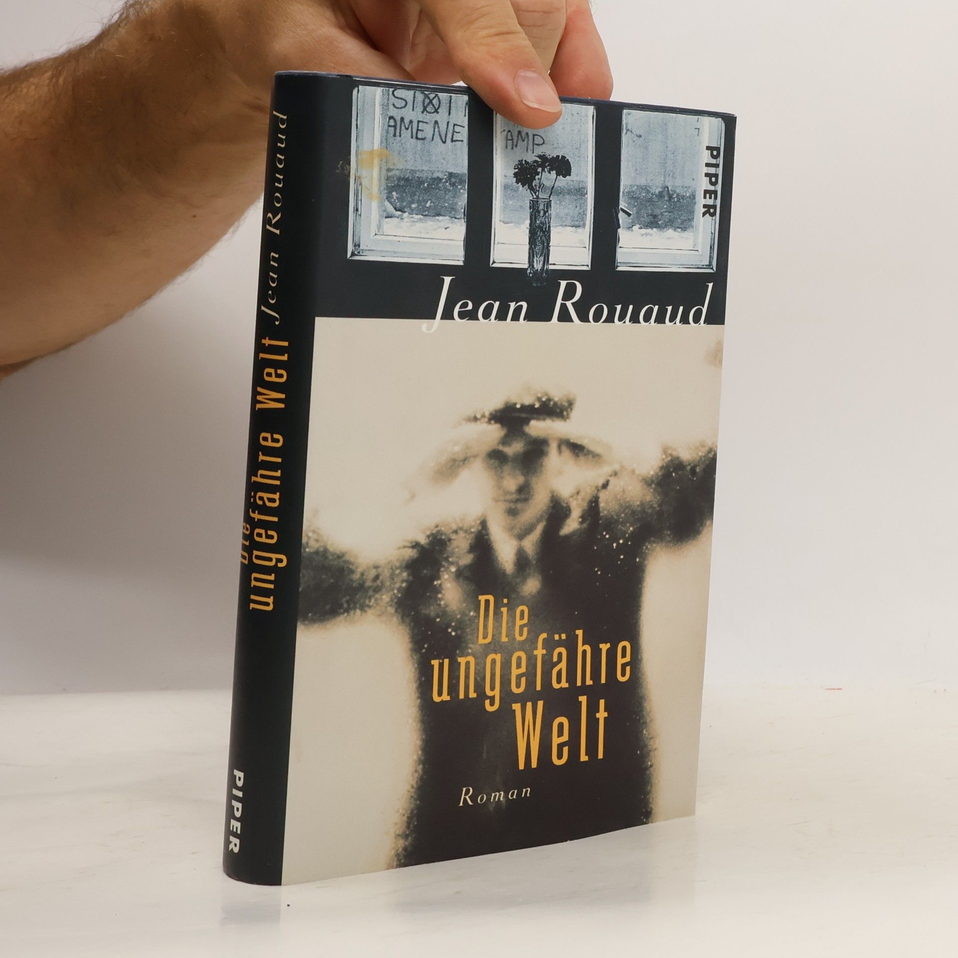 Die ungefähre Welt