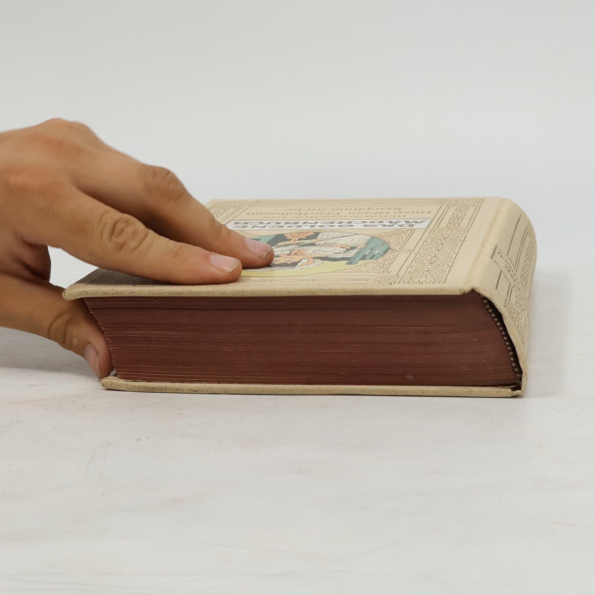 Friß Bergen Das goldene Mädchenbuch